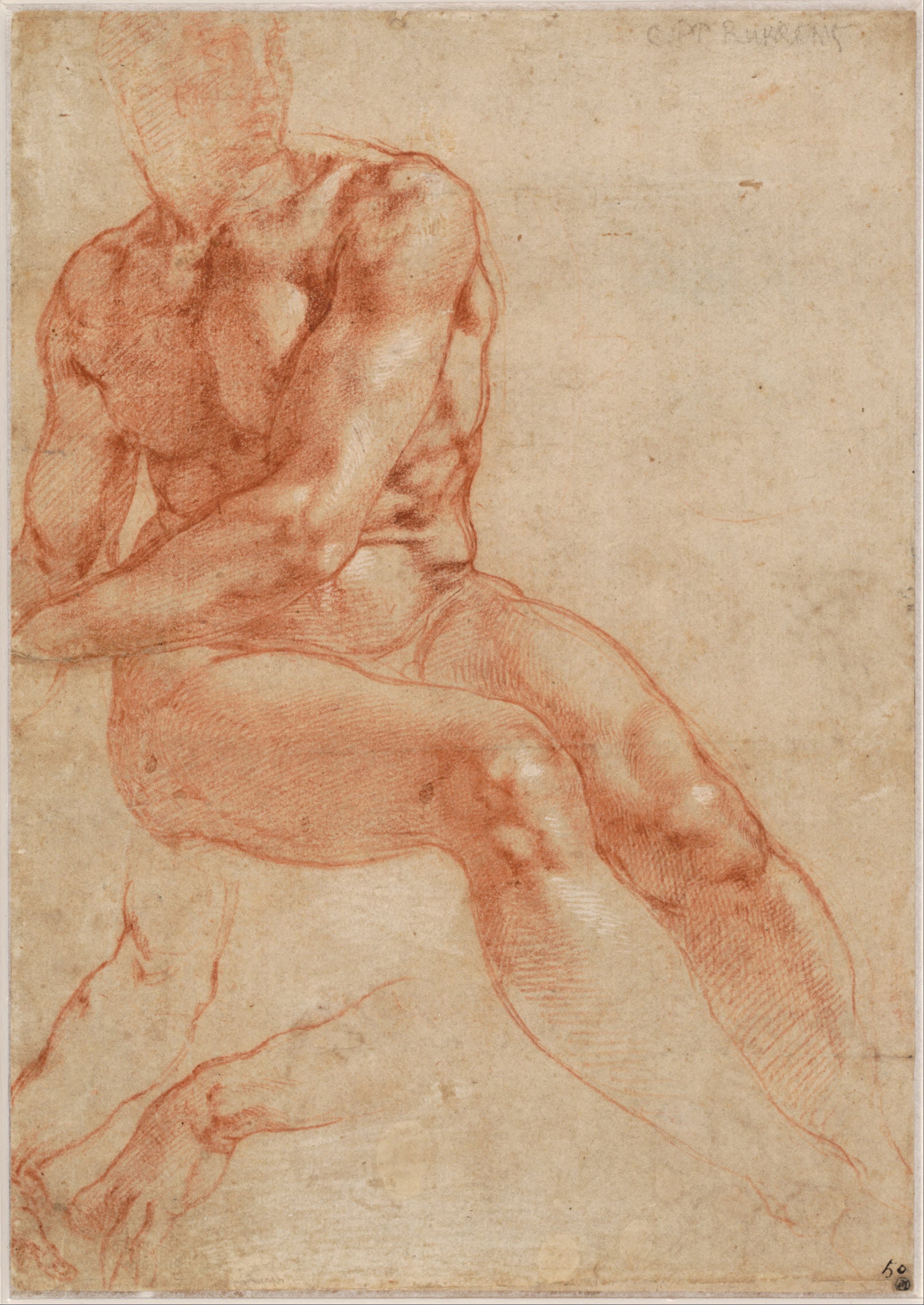 《坐姿男性裸体习作》（Study of a Seated Male Nude）｜米开朗基罗 Michelangelo Buonarroti｜不明