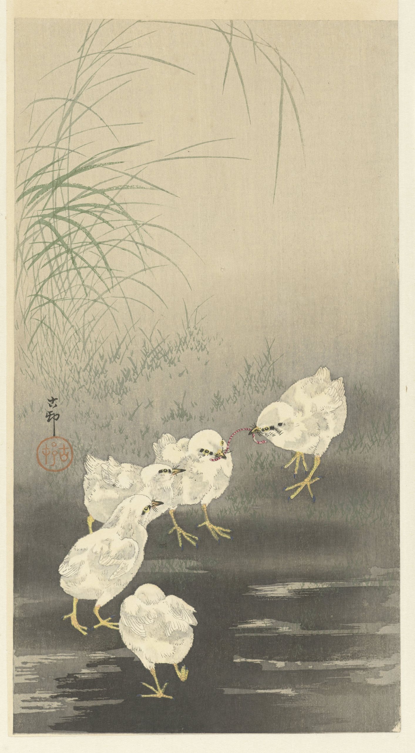 小鸡和蠕虫