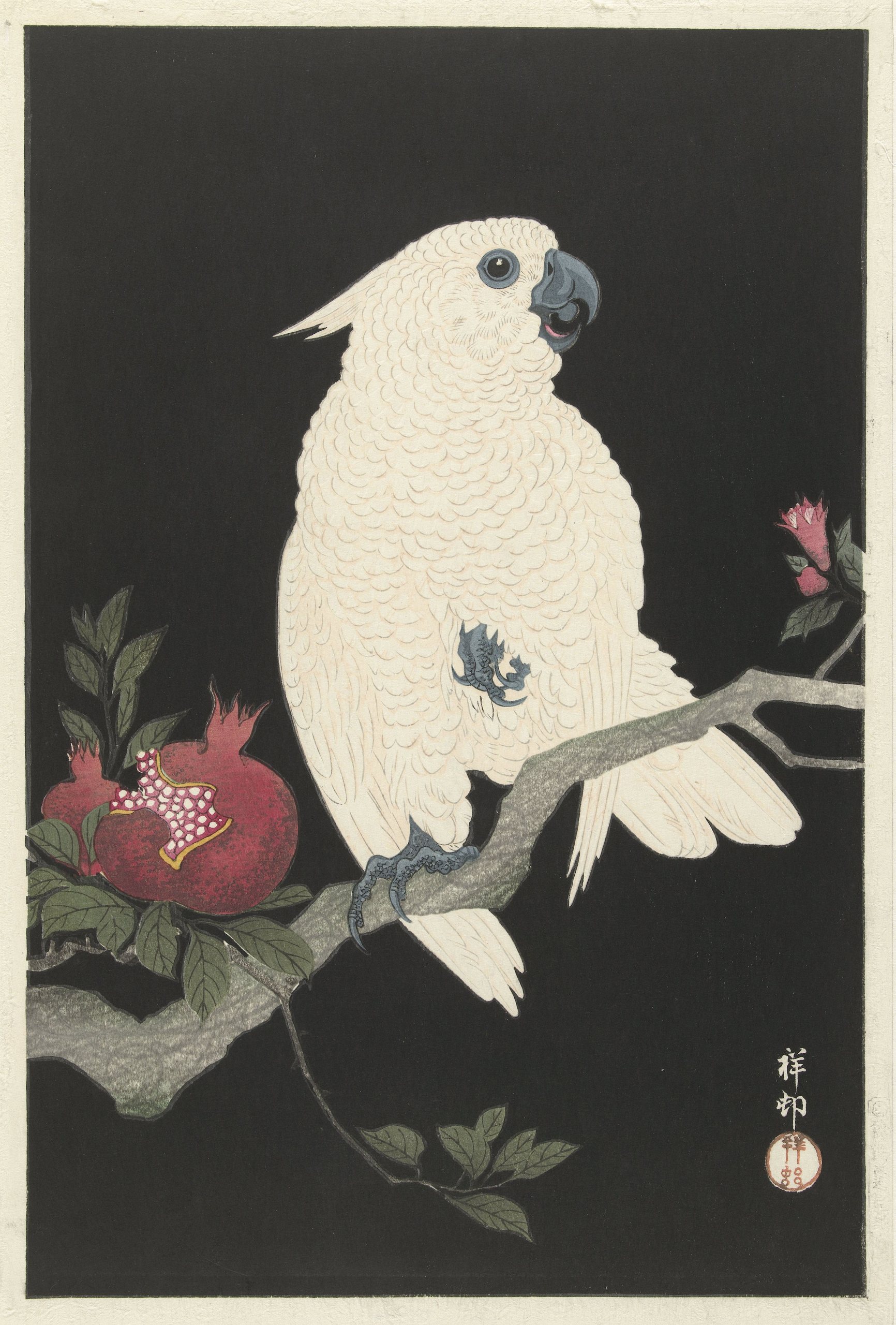 《凤头鹦鹉和石榴》（Cockatoo and pomegranate）｜小原古邨 Ohara Koson｜1925-1936