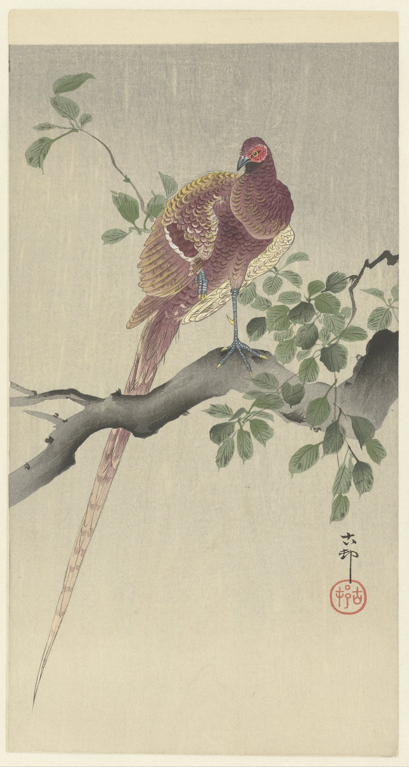 铜雉