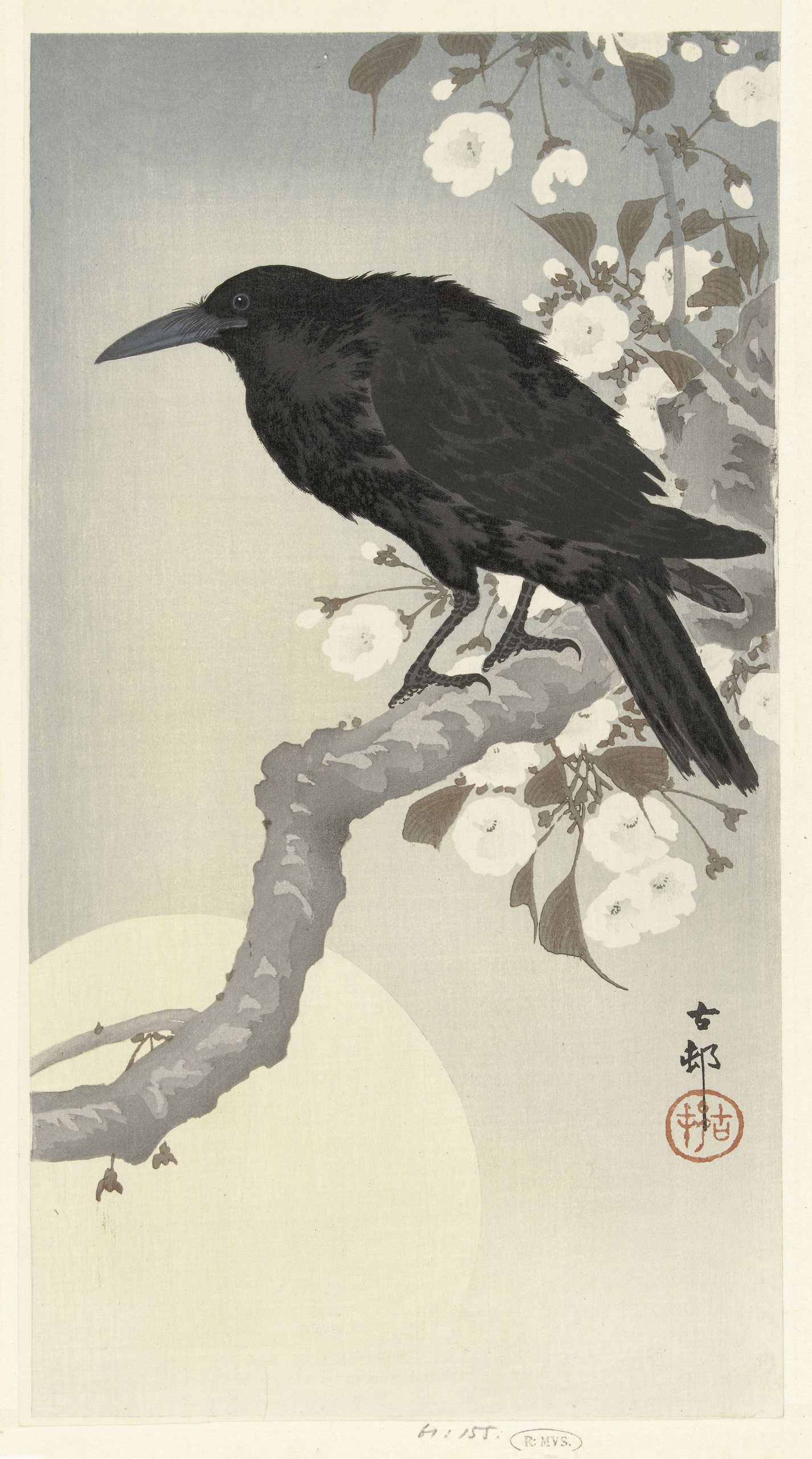 满月时的乌鸦