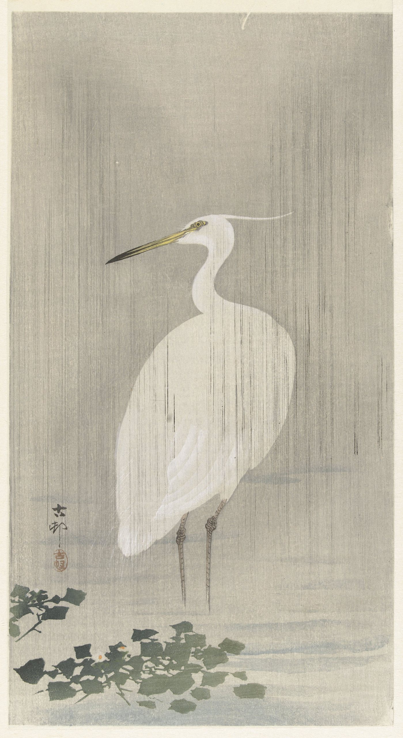 雨中白鹭