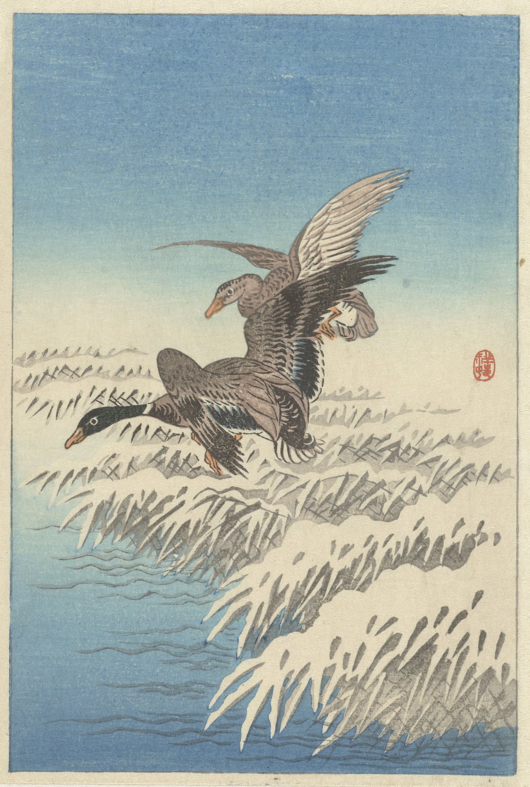 《一群鸭子在白雪皑皑的芦苇领上飞翔》（Flock of ducks flying above snowy reed collar）｜小原古邨 Ohara Koson｜1900-1945