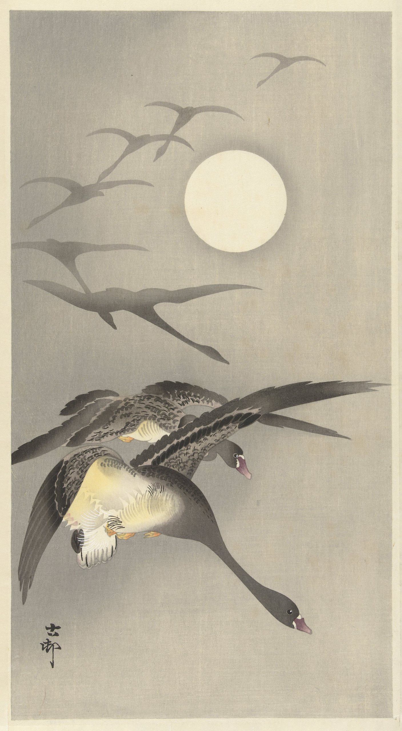 《满月时的鹅》（Geese at full moon）｜小原古邨 Ohara Koson｜1930-1945