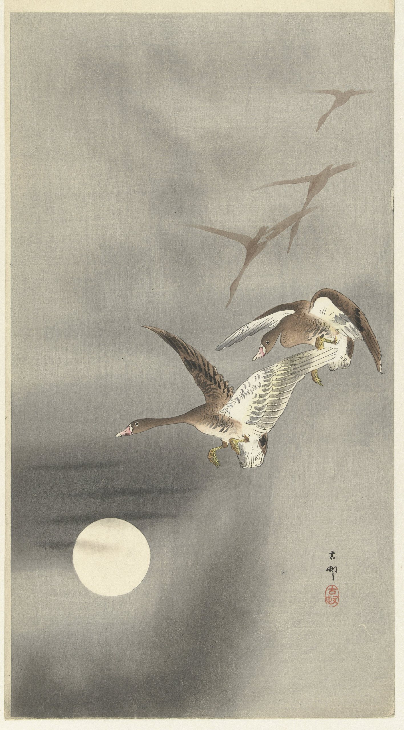 《飞行中的大雁》（Geese in flight）｜小原古邨 Ohara Koson｜1900-1930