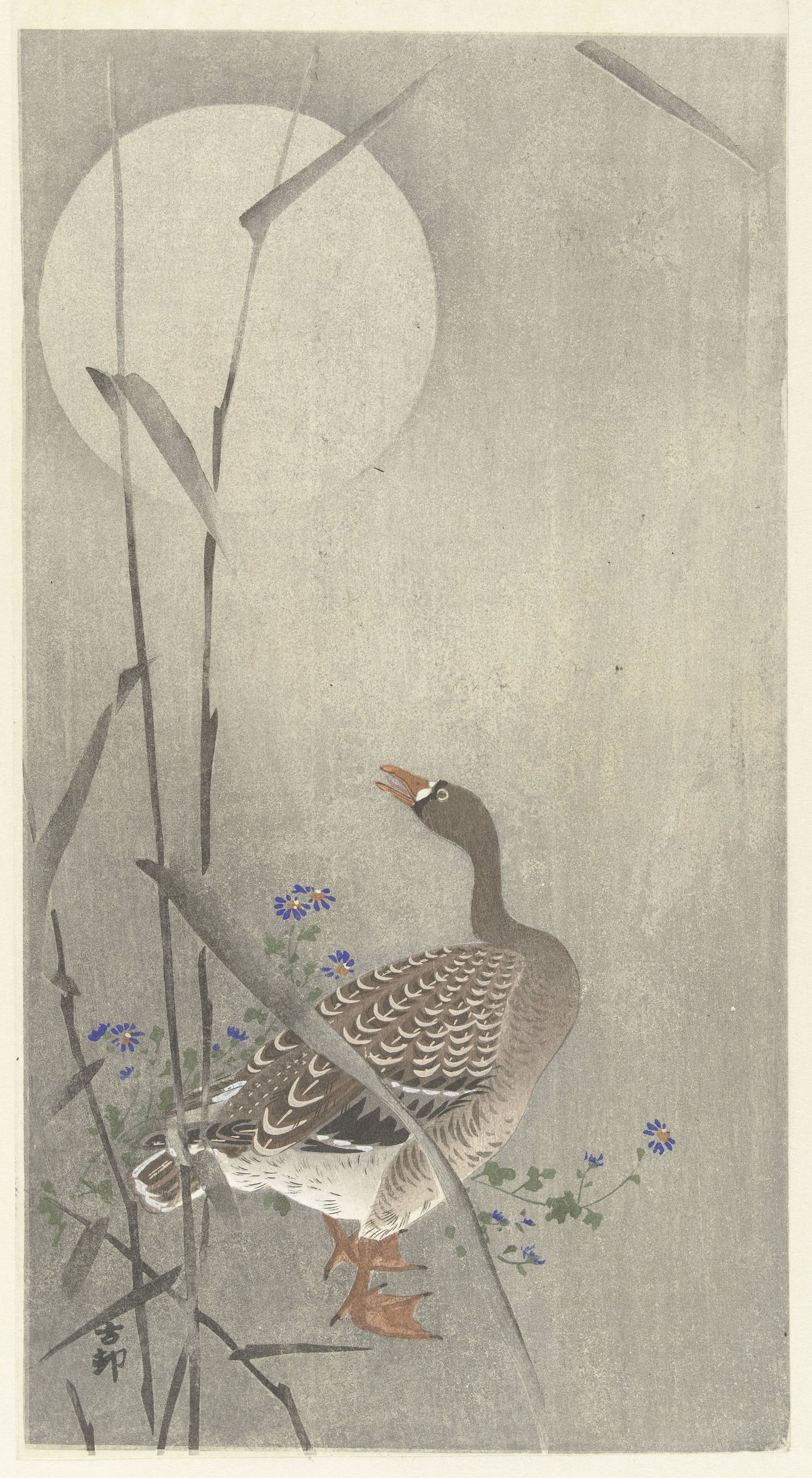《满月时的鹅》（Goose at full moon）｜小原古邨 Ohara Koson｜1900-1936