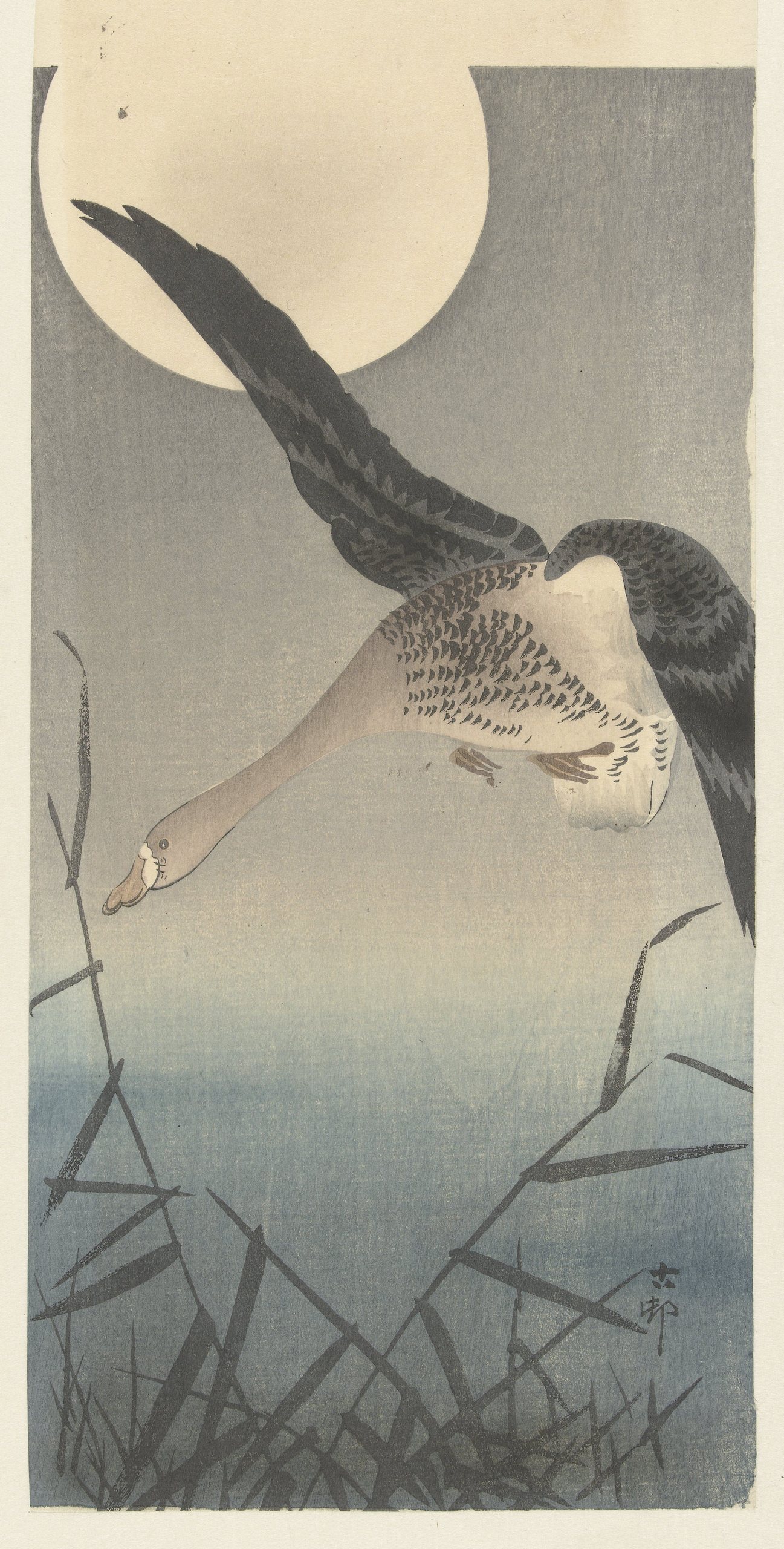 《鹅》（Goose）｜小原古邨 Ohara Koson｜1900-1930