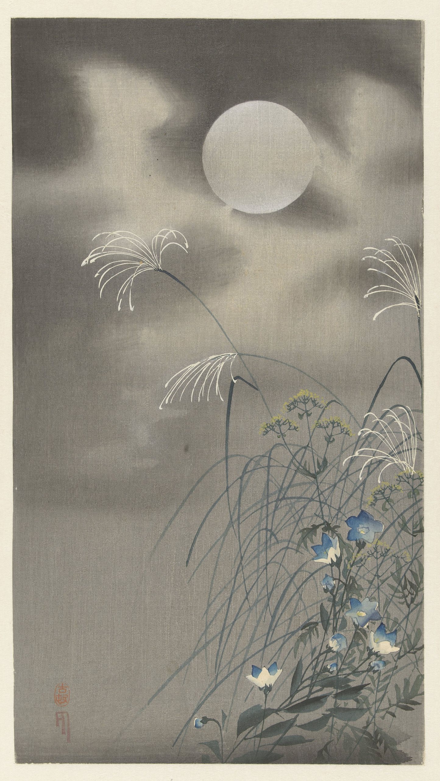 满月时的草和花