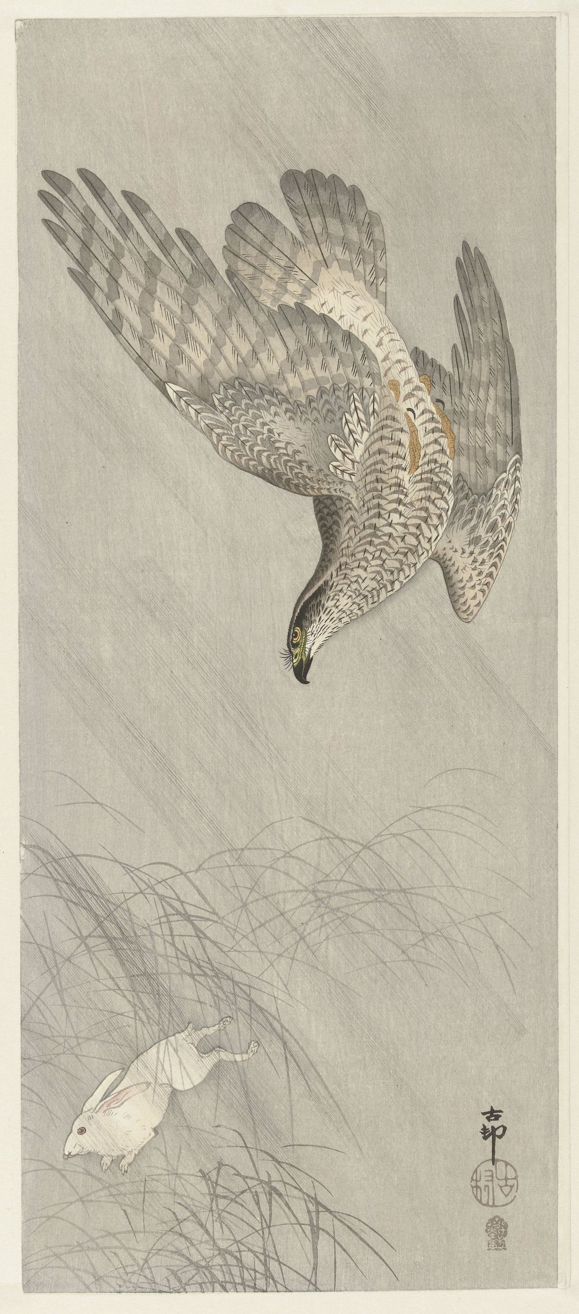 《鹰狩猎野兔》（Hawk hunting for hare）｜小原古邨 Ohara Koson｜1900-1910