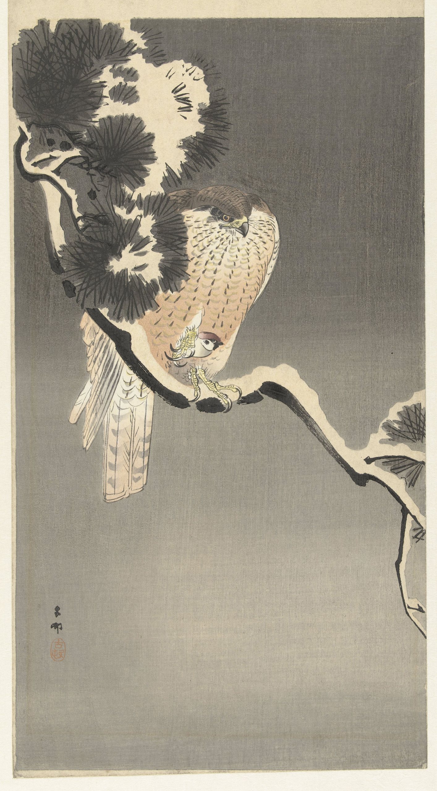 《鹰与麻雀》（Hawk with sparrow）｜小原古邨 Ohara Koson｜1900-1930