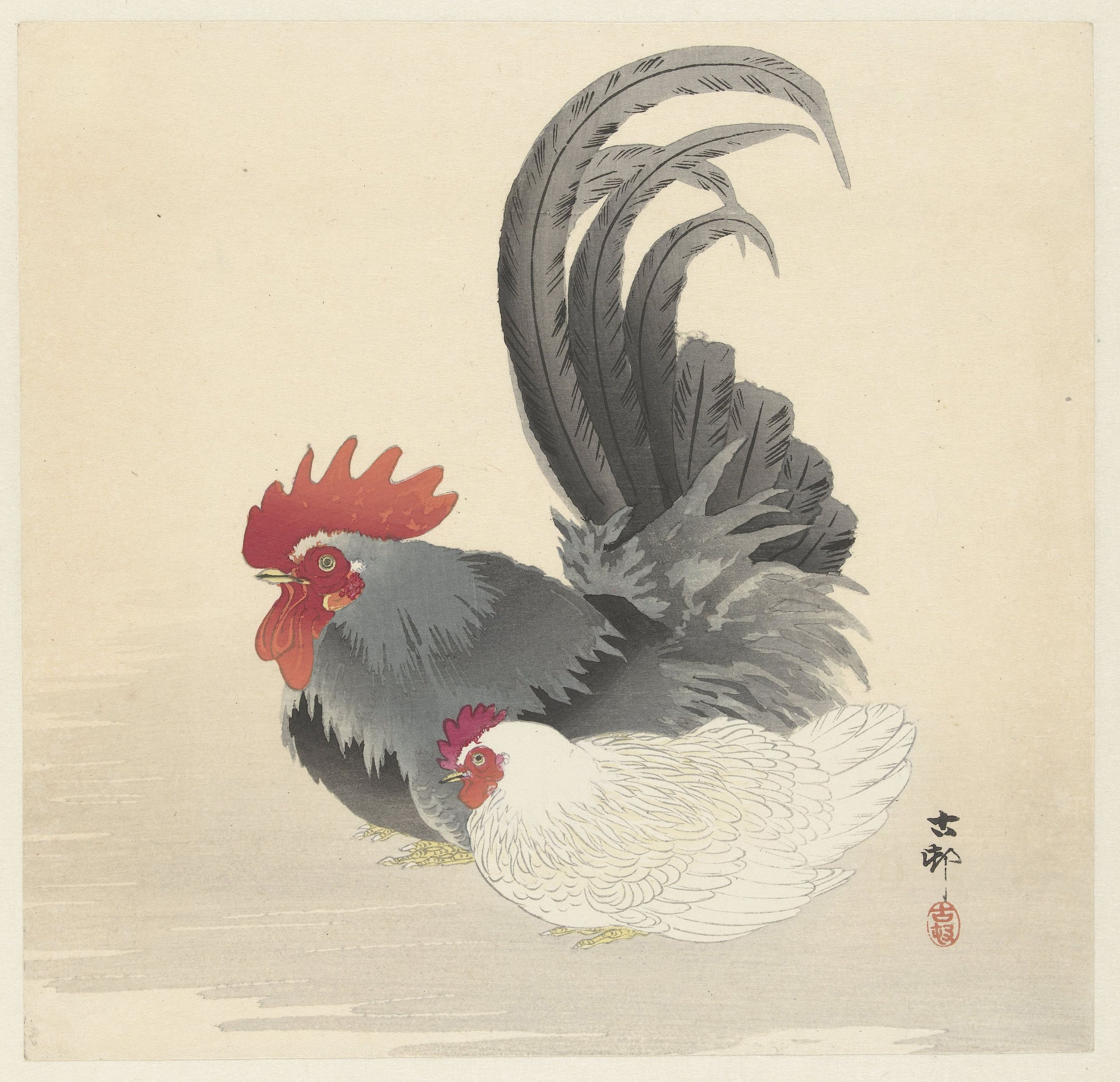 《母鸡和公鸡》（Hen and rooster）｜小原古邨 Ohara Koson｜1900-1936