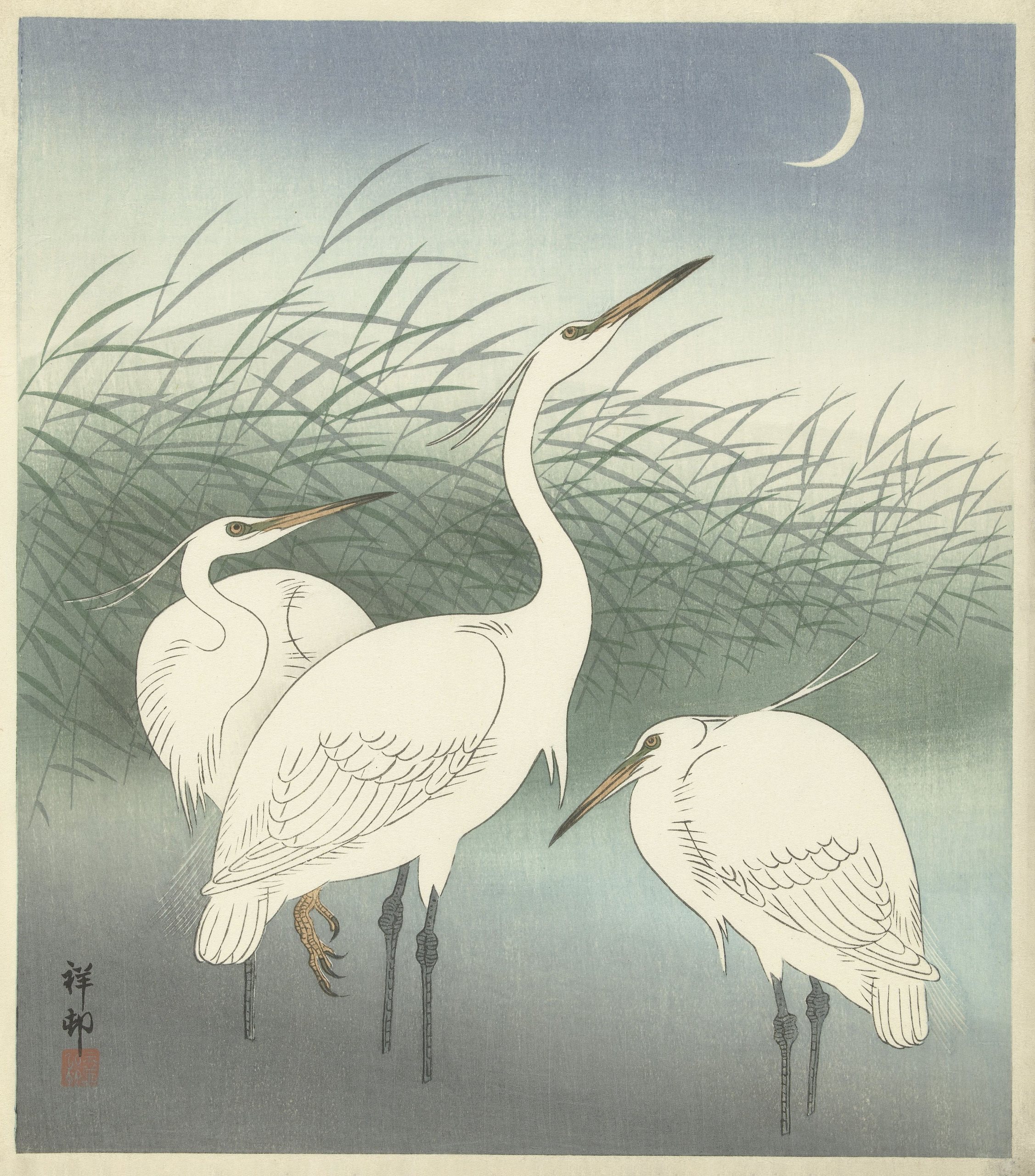 《浅水中的苍鹭》（Herons in shallow water）｜小原古邨 Ohara Koson｜1934