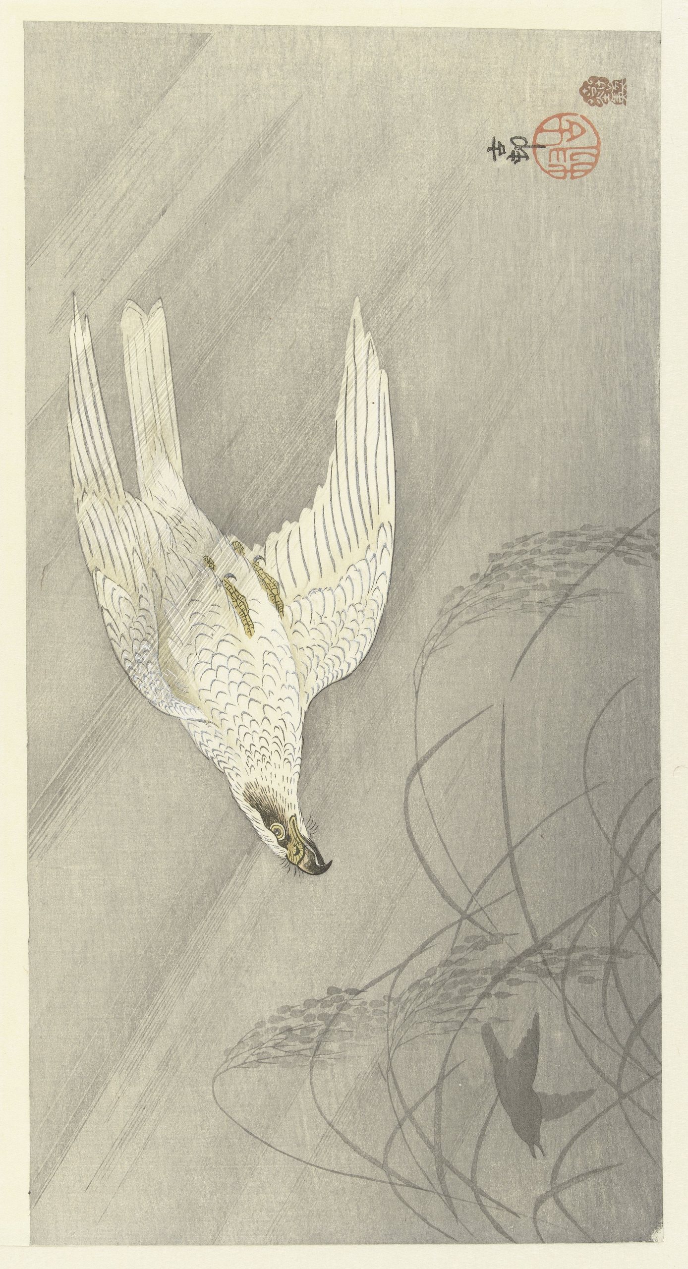 《猎鹰》（Hunting hawk）｜小原古邨 Ohara Koson｜1900-1910