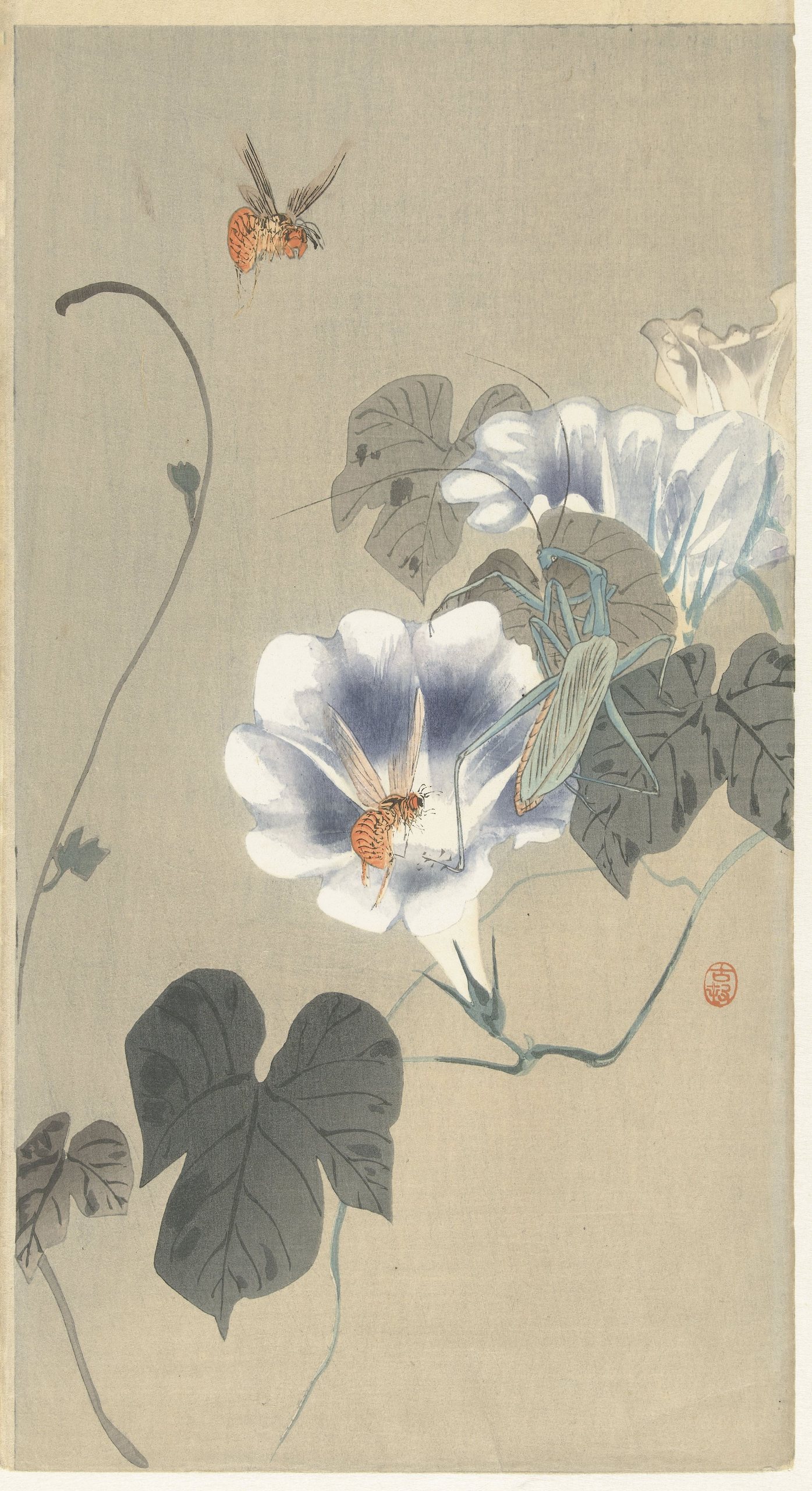 《旋花上的昆虫》（Insects at bindweed）｜小原古邨 Ohara Koson｜1900-1930