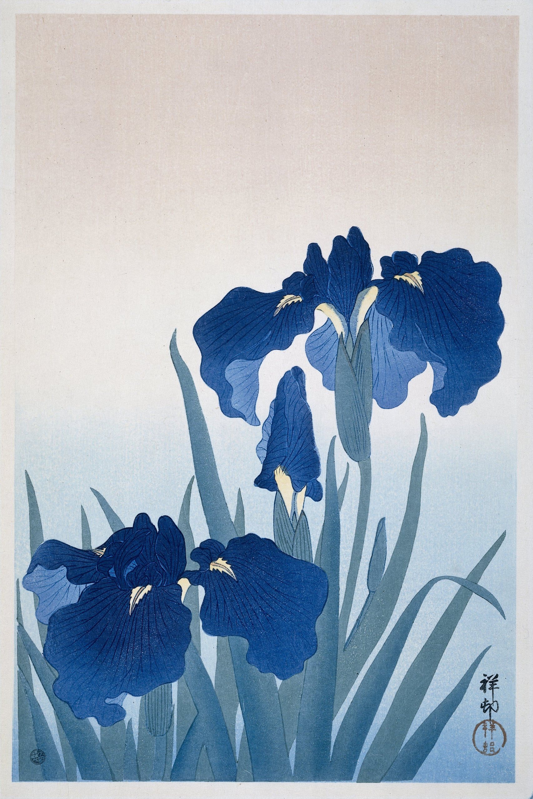 《鸢尾花》（Irises）｜小原古邨 Ohara Koson｜1925-1936