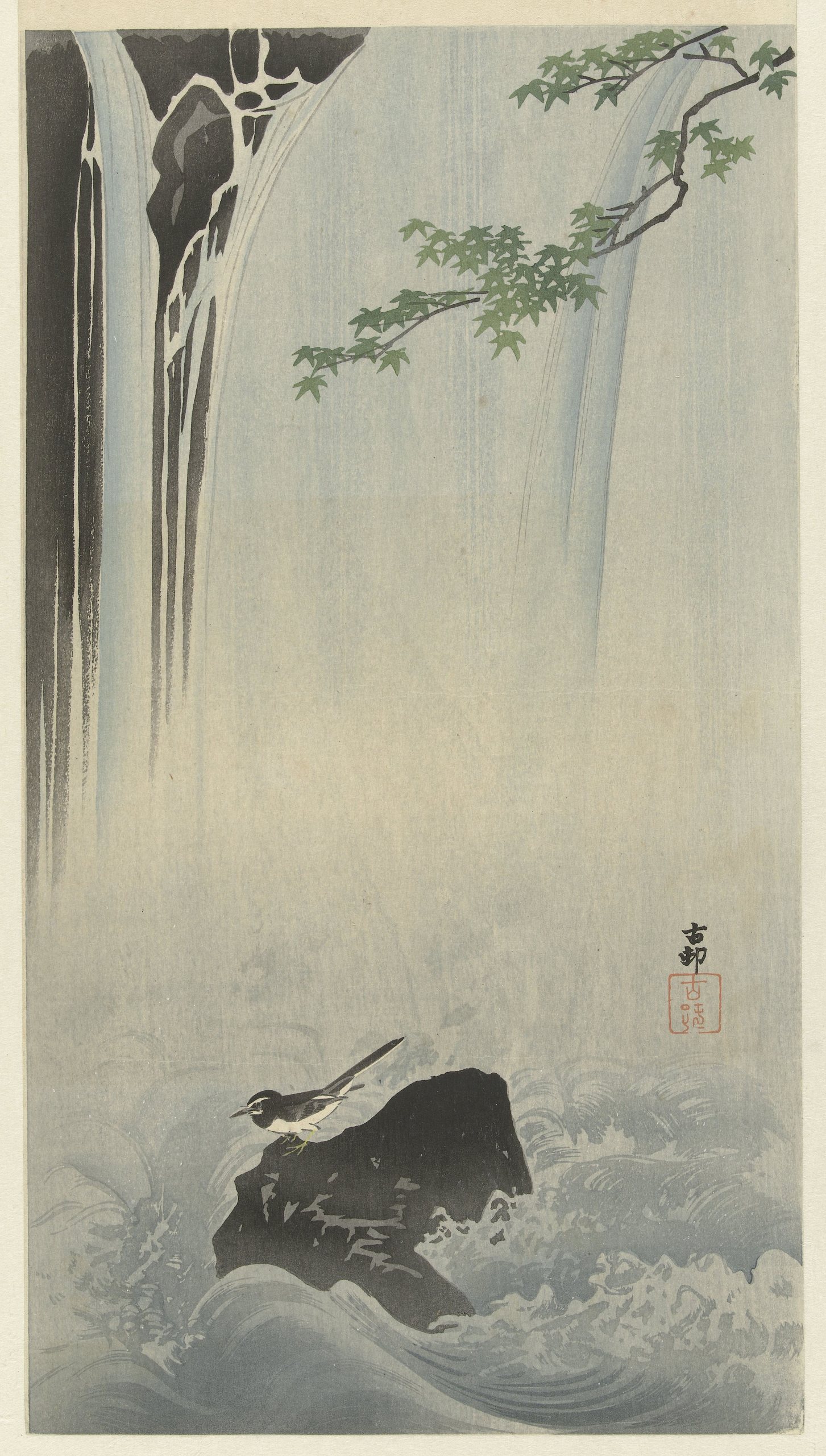 《在瀑布的日本鹡鸰》（Japanese wagtail at waterfall）｜小原古邨 Ohara Koson｜1900-1930