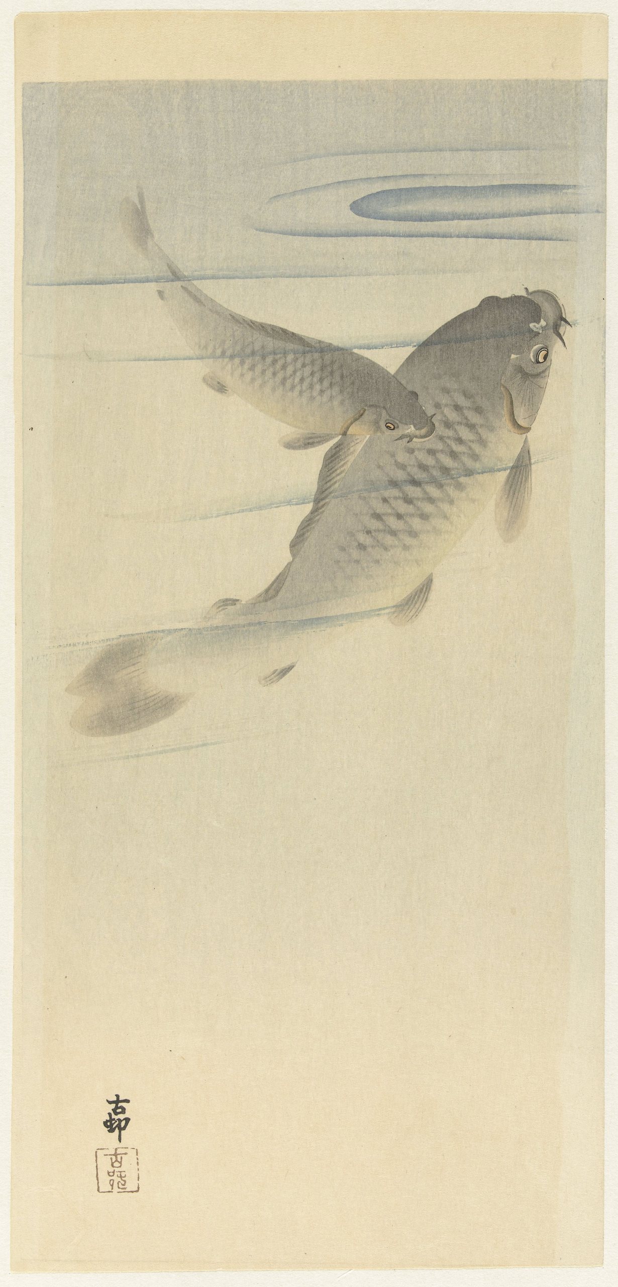 《鲤鱼》（Carp）｜小原古邨 Ohara Koson｜1900-1936