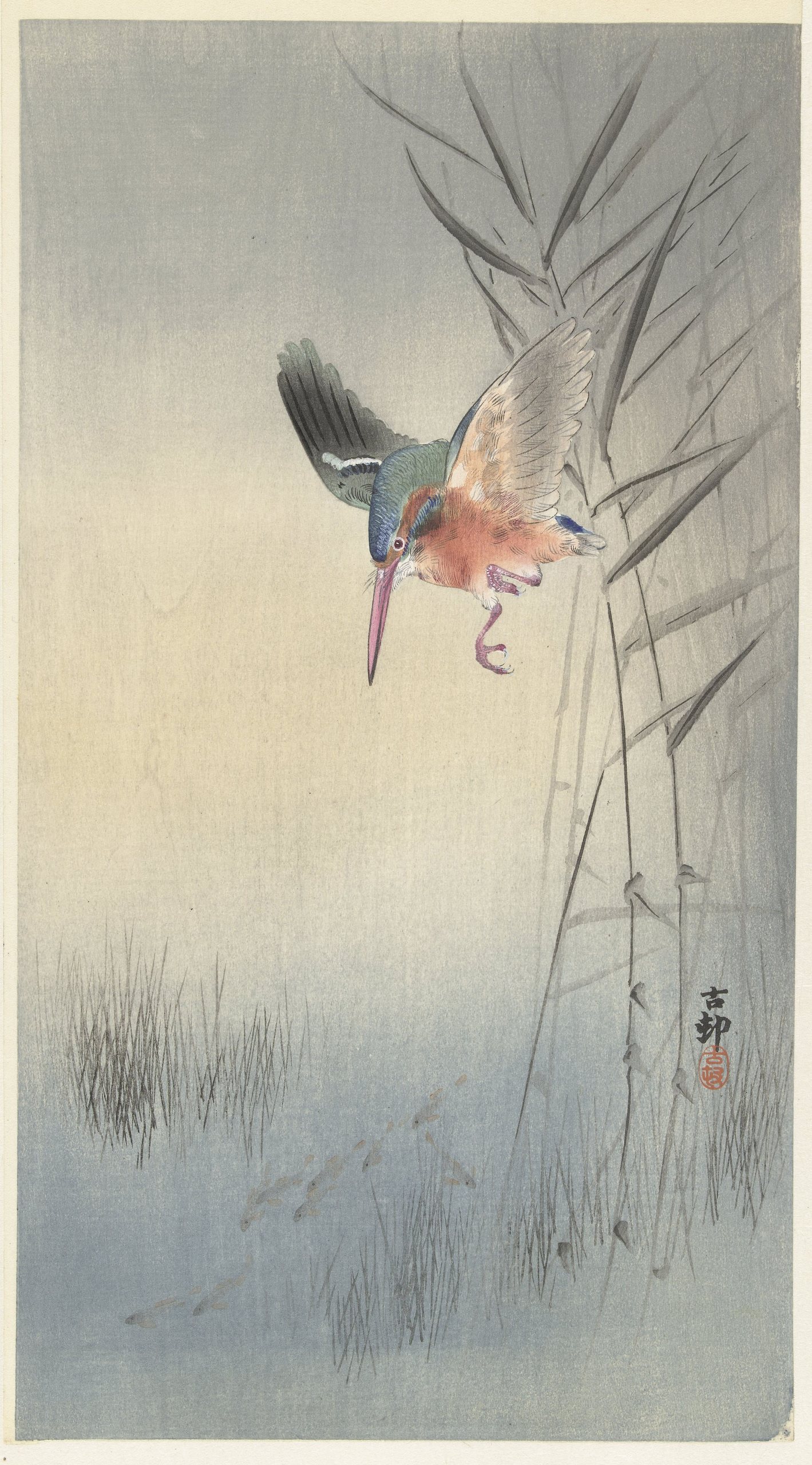 《翠鸟捕鱼》（Kingfisher Hunting for Fish）｜小原古邨 Ohara Koson｜1900-1930
