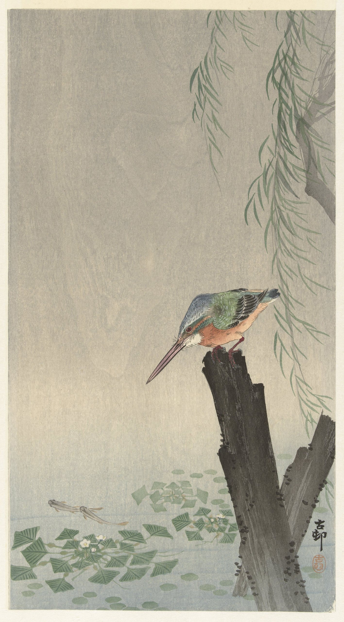 《树桩上的翠鸟》（Kingfisher on tree stump）｜小原古邨 Ohara Koson｜1900-1936