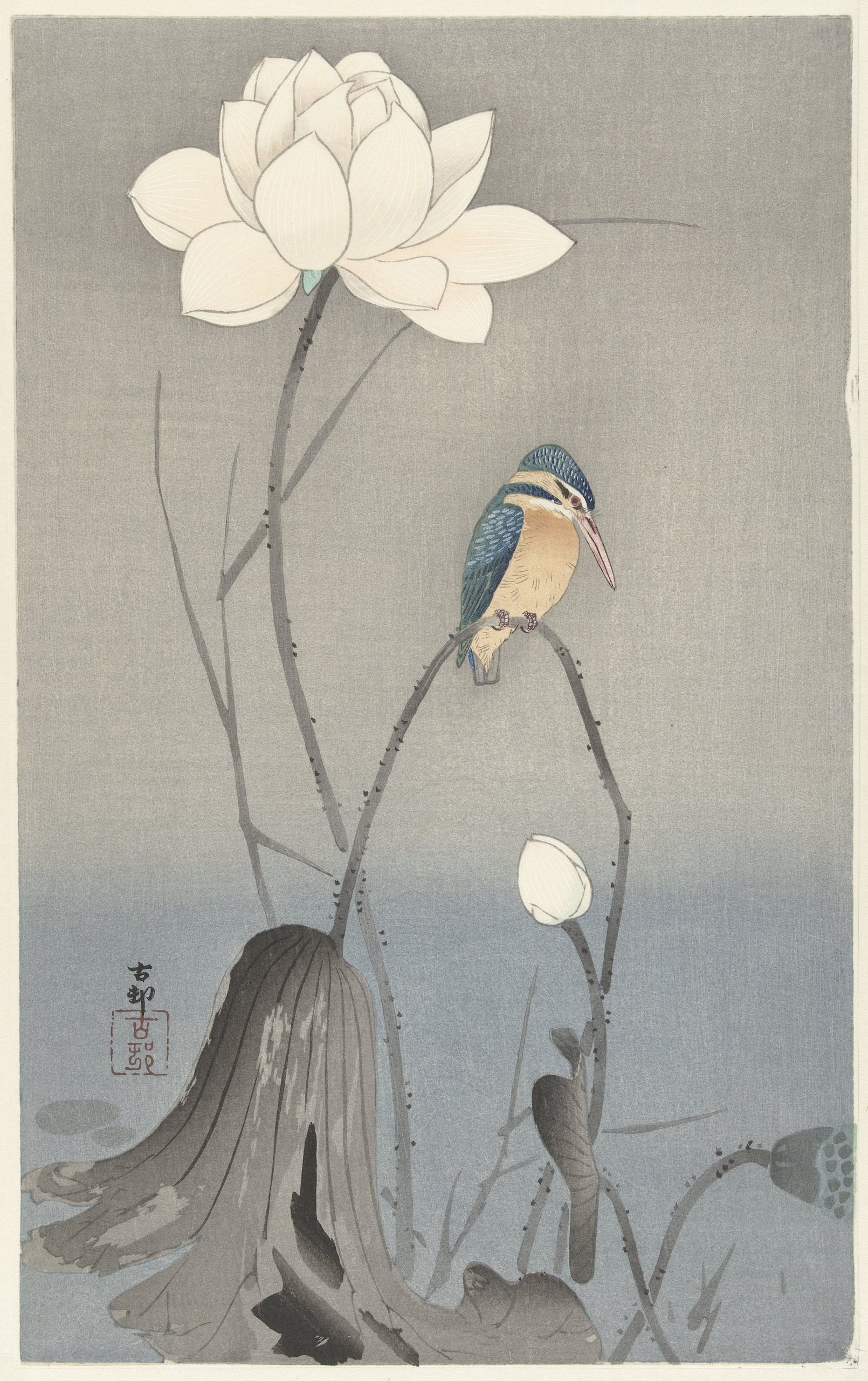 《翠鸟与莲花》（Kingfisher with Lotus Flower）｜小原古邨 Ohara Koson｜1900-1945