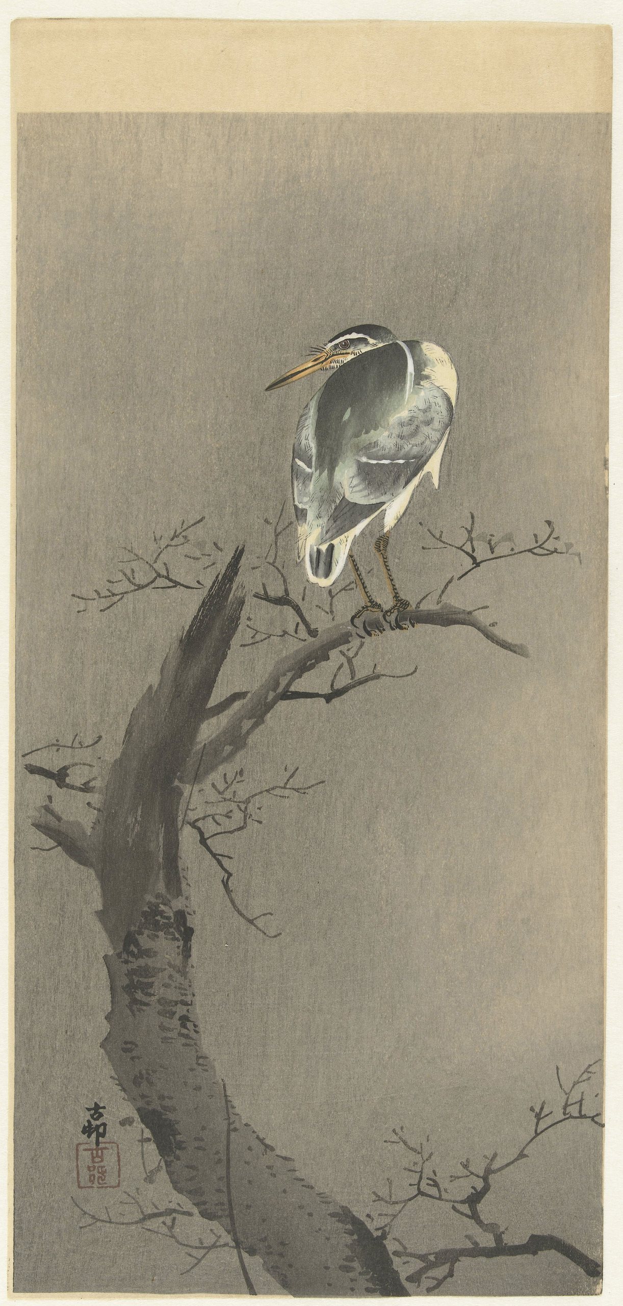 《郭在树枝上》（Kwak on branch）｜小原古邨 Ohara Koson｜1900-1936