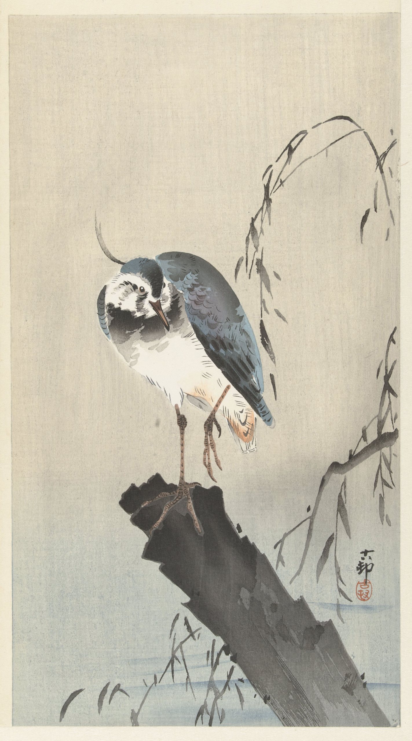 《树桩上的田凫》（Lapwing on tree stump）｜小原古邨 Ohara Koson｜1900-1930