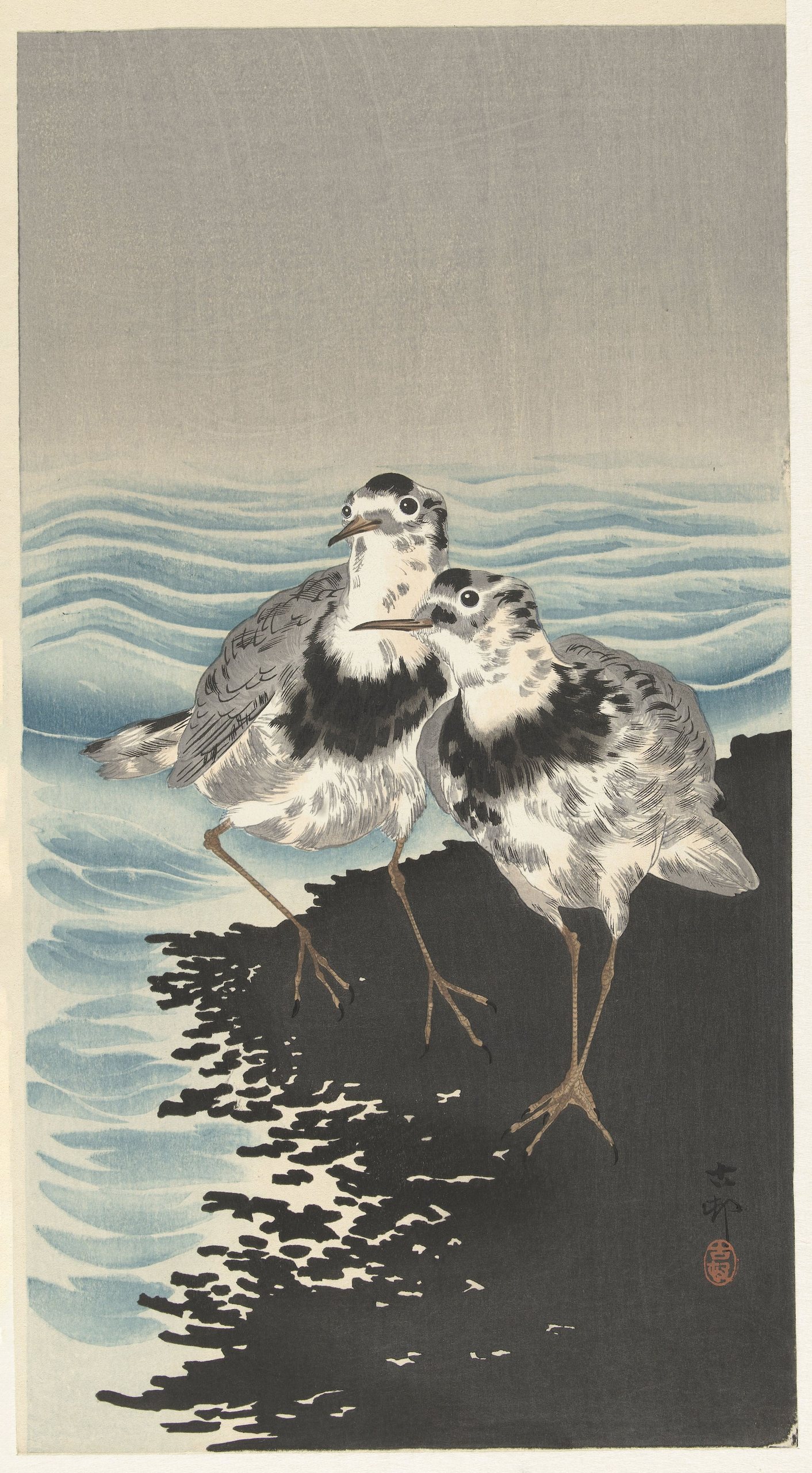 《大结鹬》（Large knot sandpipers）｜小原古邨 Ohara Koson｜1900-1930
