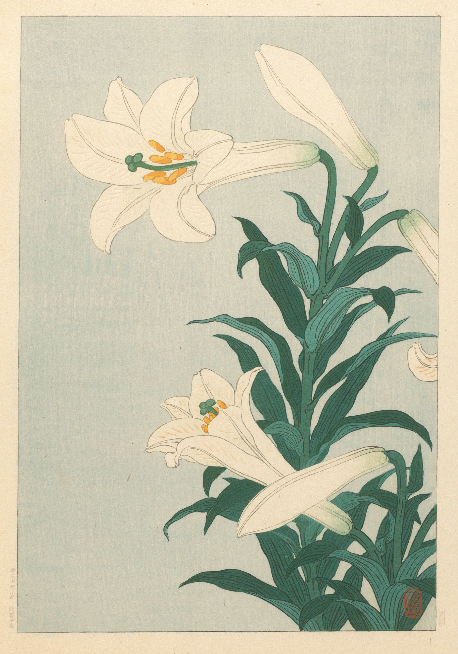 《百合花》（Lilies）｜小原古邨 Ohara Koson｜1900-1930
