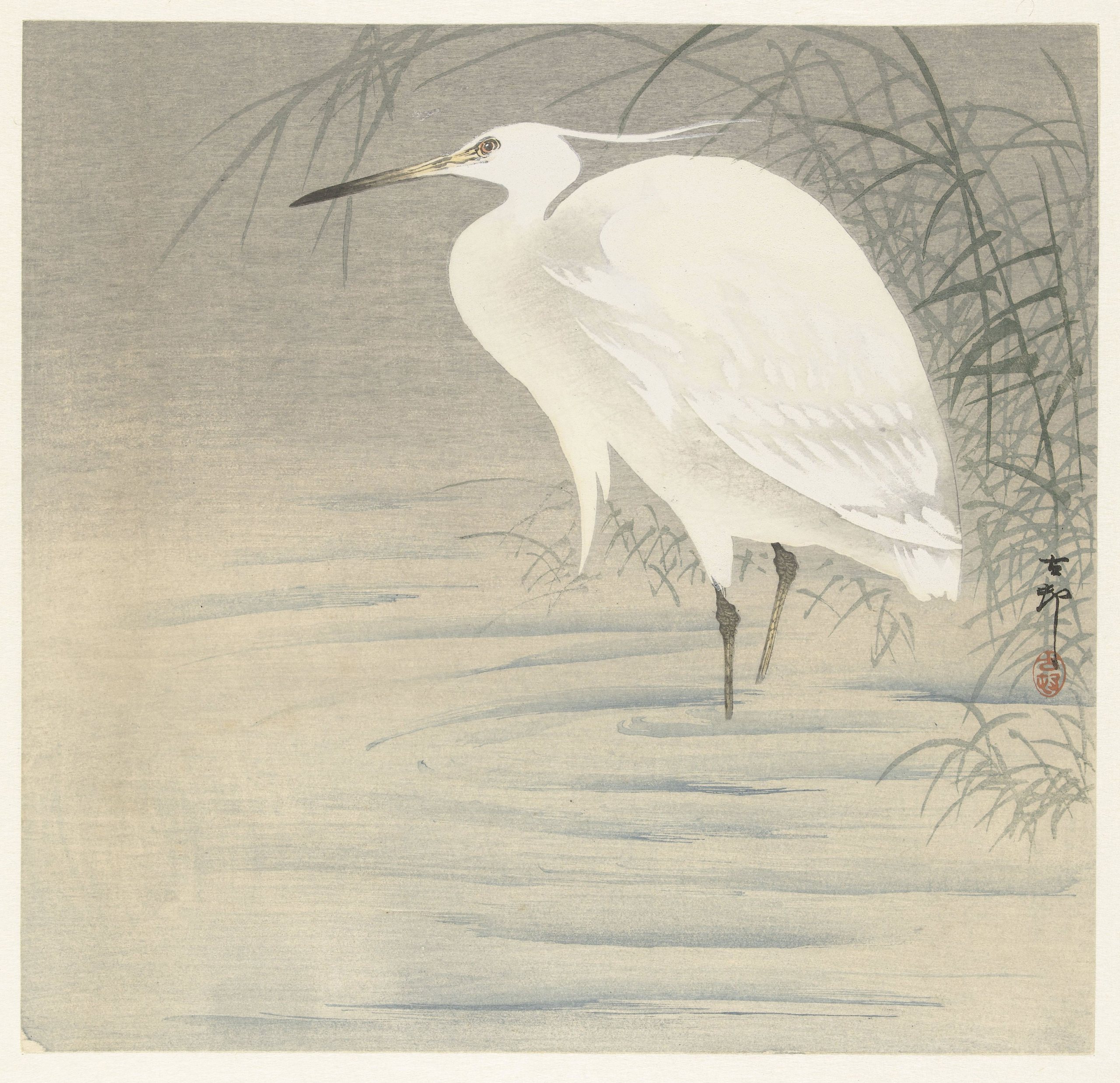 《小白鹭.》（Little egret.）｜小原古邨 Ohara Koson｜1900-1930