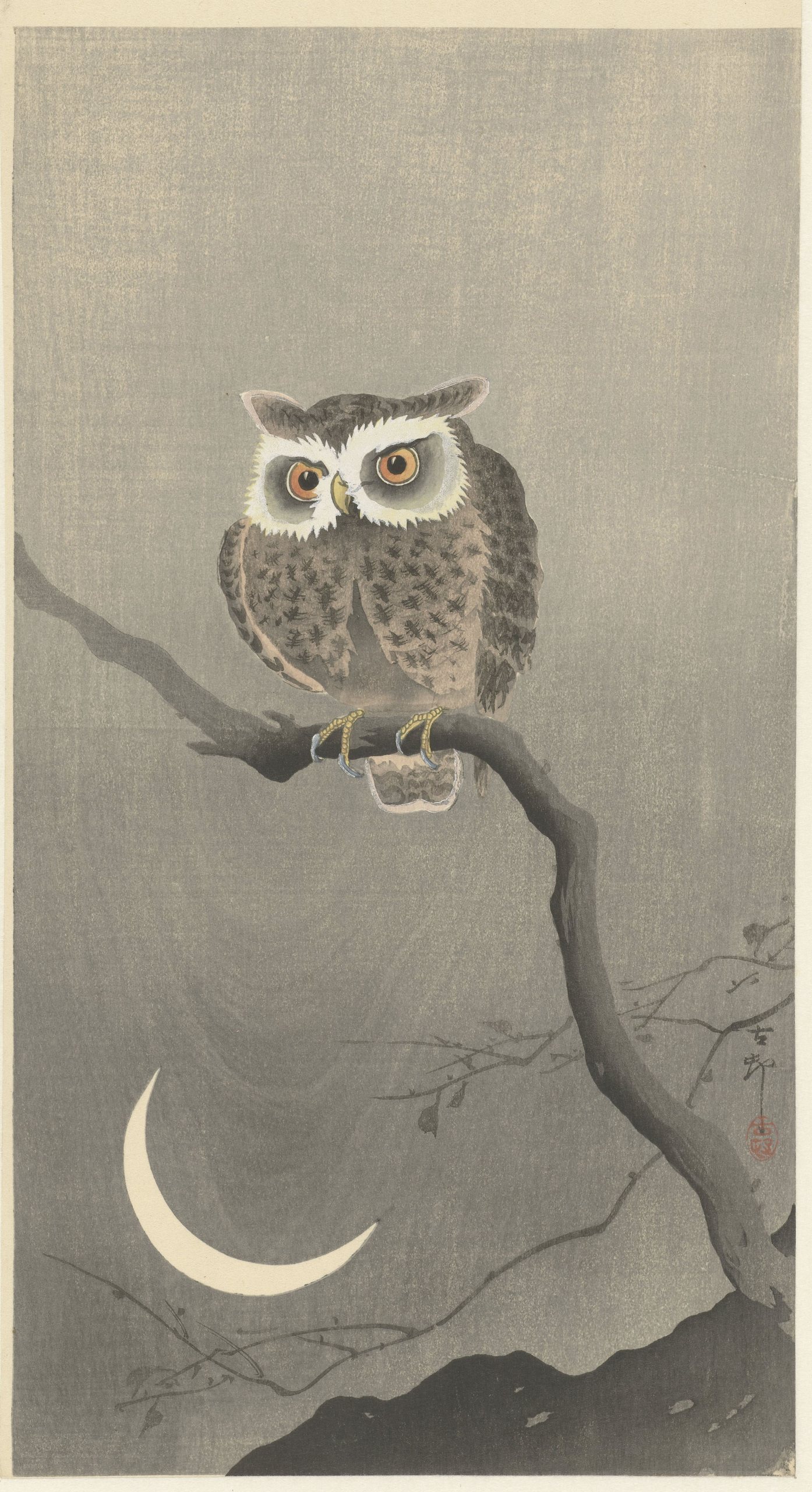 《光秃秃的树枝上的长耳猫头鹰》（Long-eared owl on bare tree branch）｜小原古邨 Ohara Koson｜1900-1930