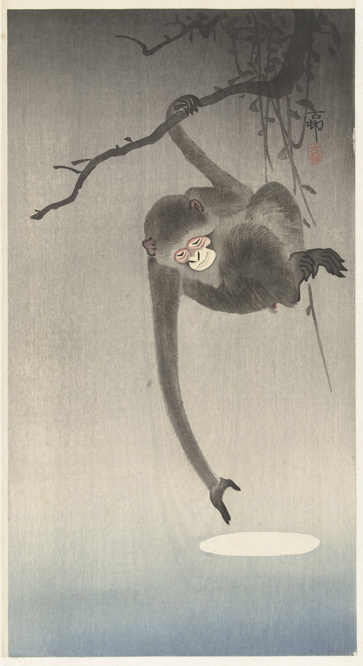 《猴子和月亮的倒影》（Monkey and reflection of the moon）｜小原古邨 Ohara Koson｜1900-1936