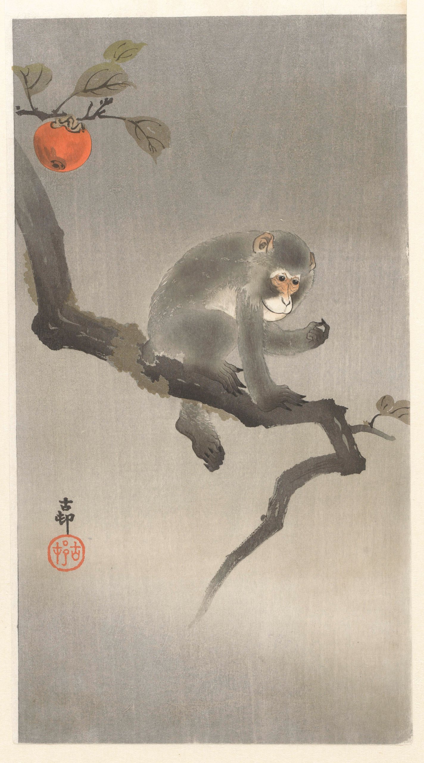 《柿子树上的猴子》（Monkey in kaki tree）｜小原古邨 Ohara Koson｜1900-1930