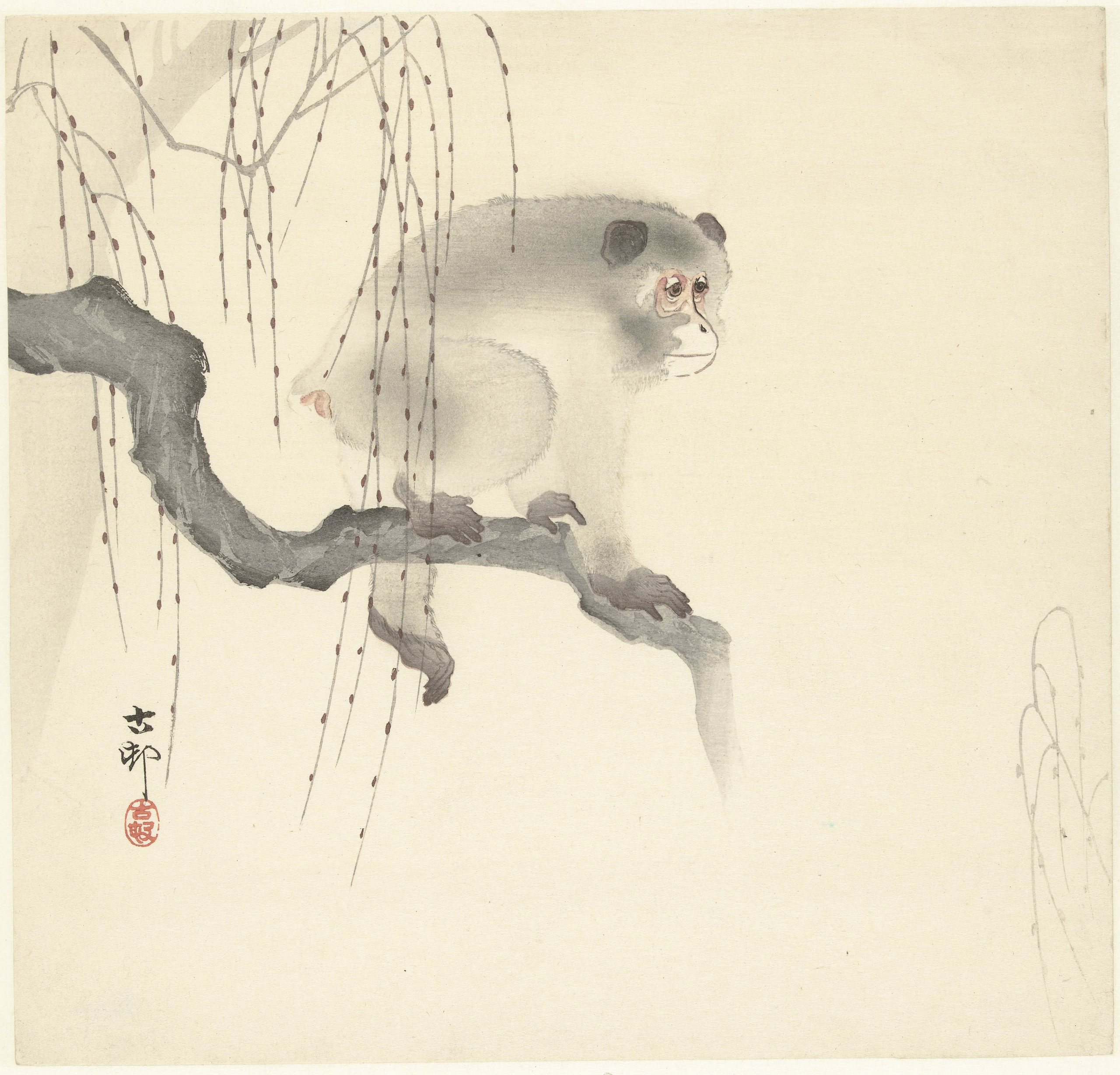 《树枝上的猴子》（Monkey on tree branch）｜小原古邨 Ohara Koson｜1900-1930