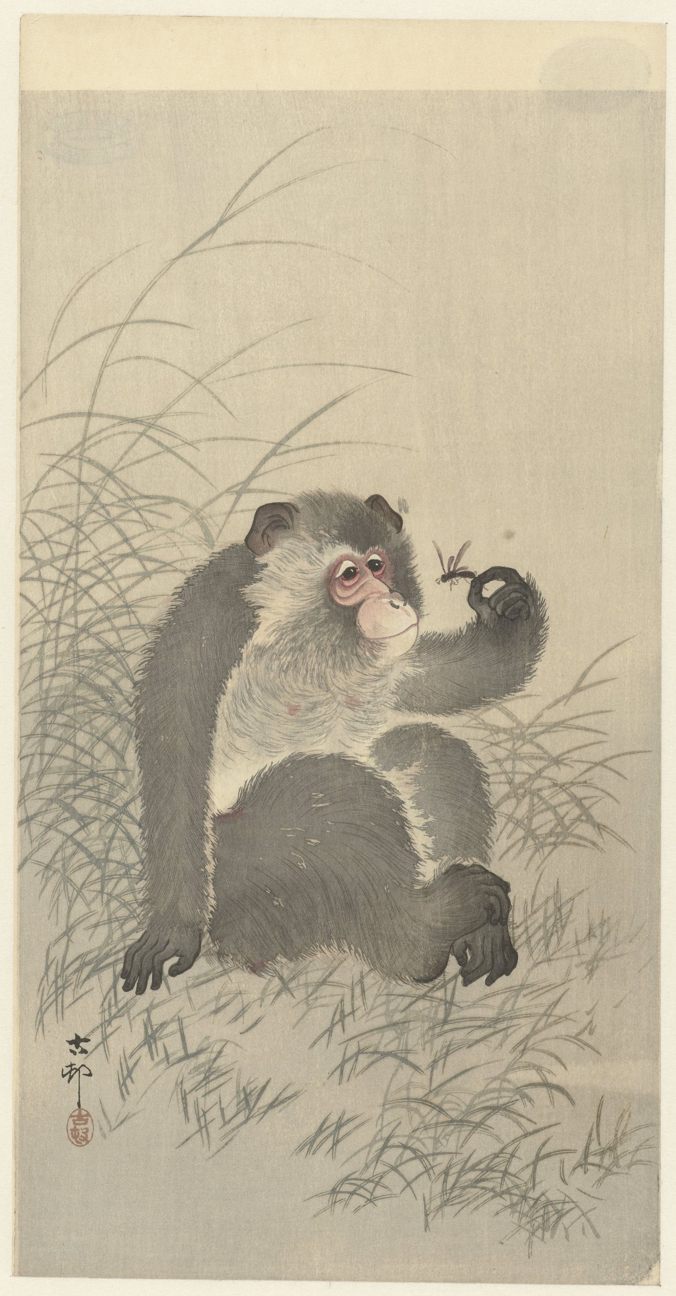 《猴子与昆虫》（Monkey with insect）｜小原古邨 Ohara Koson｜1900-1930