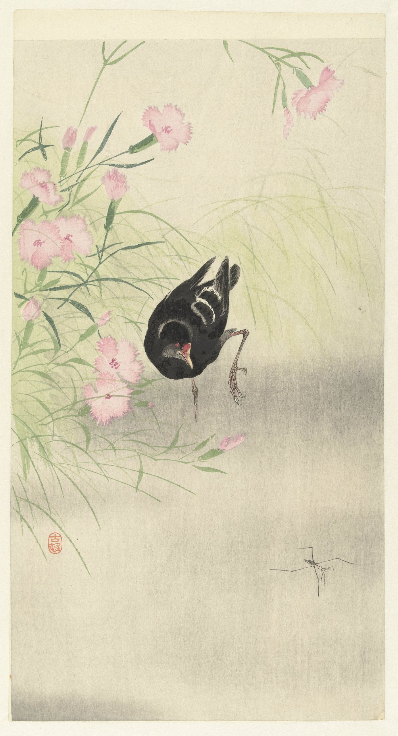 《黑水鸡在开花植物》（Moorhen at flowering plant）｜小原古邨 Ohara Koson｜1900-1930