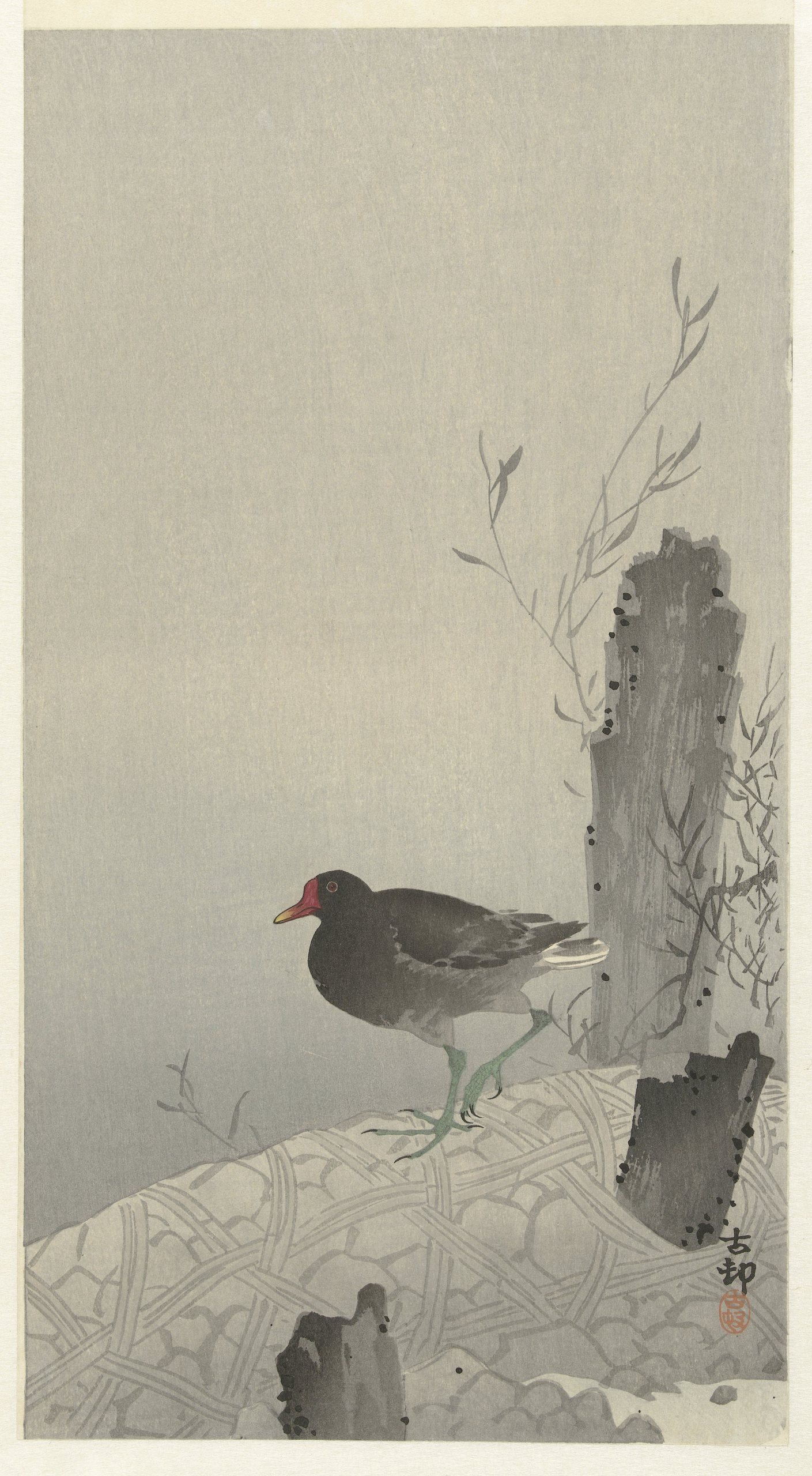 《穆尔亨》（Moorhen）｜小原古邨 Ohara Koson｜1900-1936