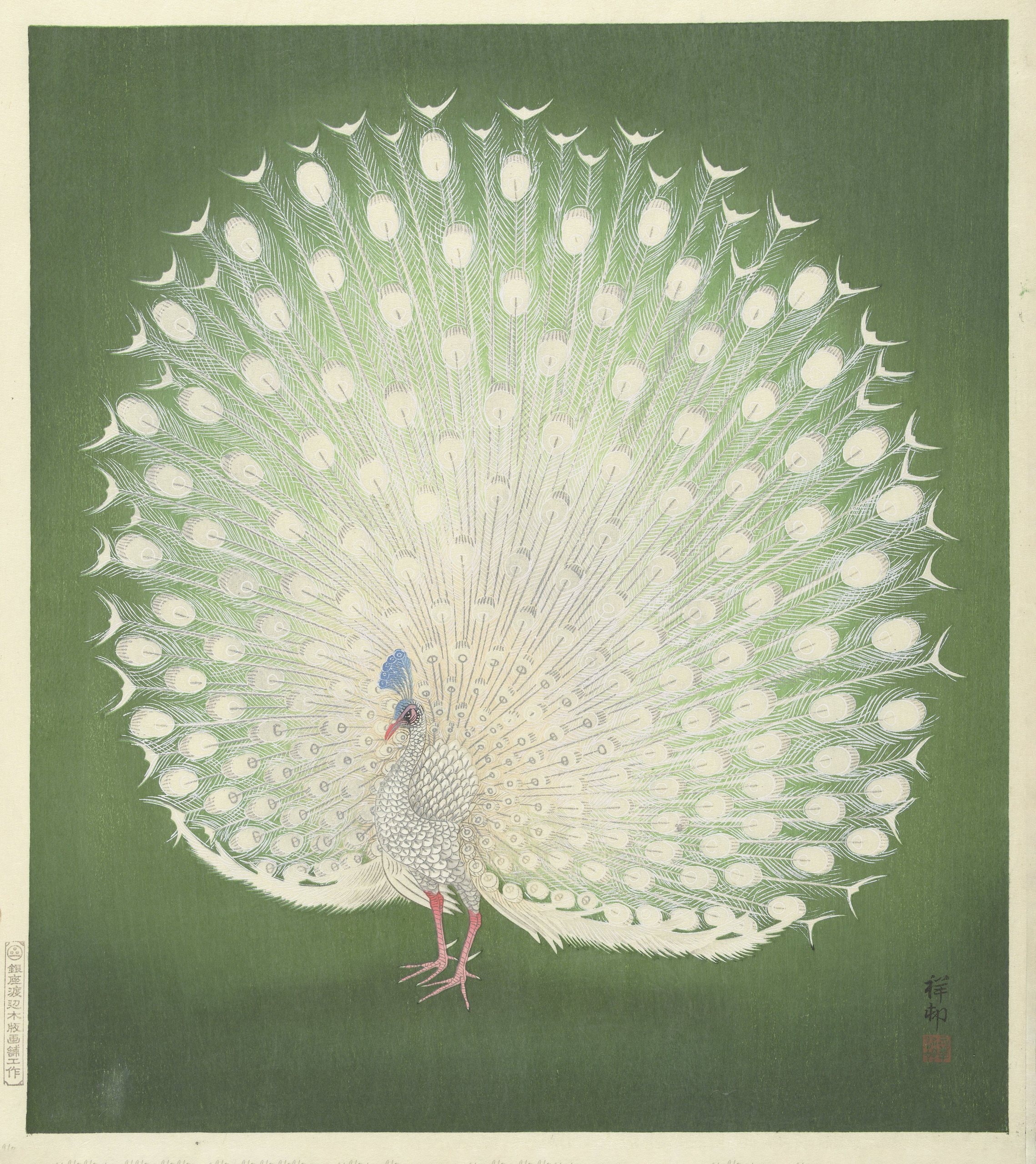 《孔雀》（Peacock）｜小原古邨 Ohara Koson｜1925-1936