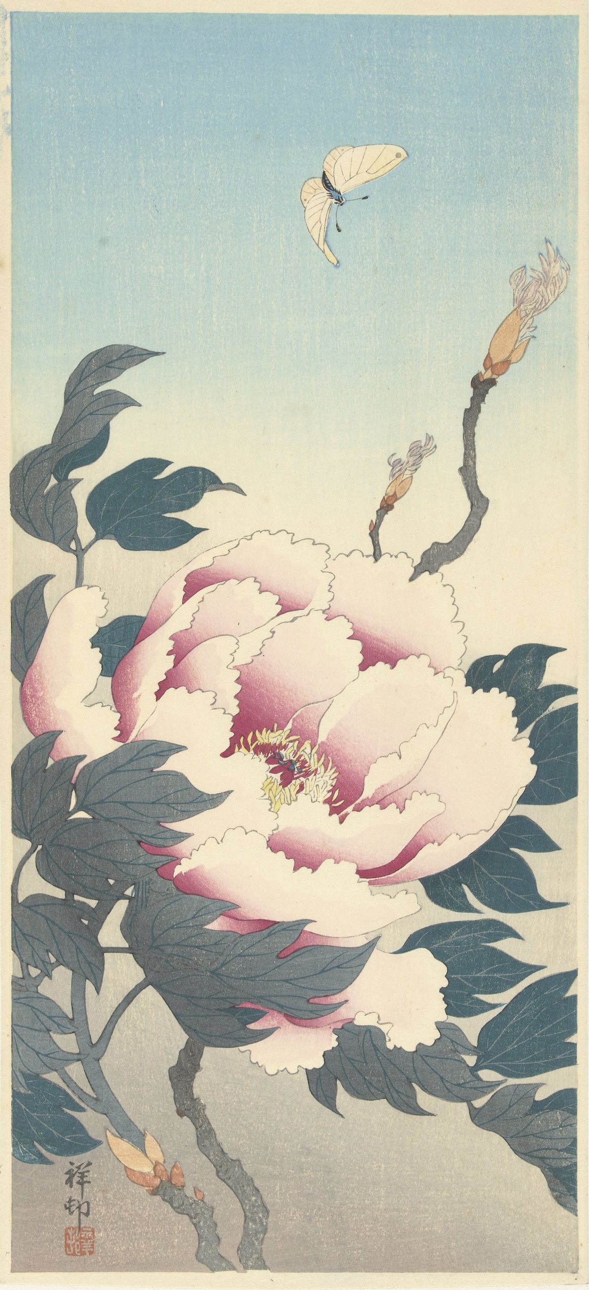 《牡丹与蝴蝶》（Peony with butterfly）｜小原古邨 Ohara Koson｜1925-1936