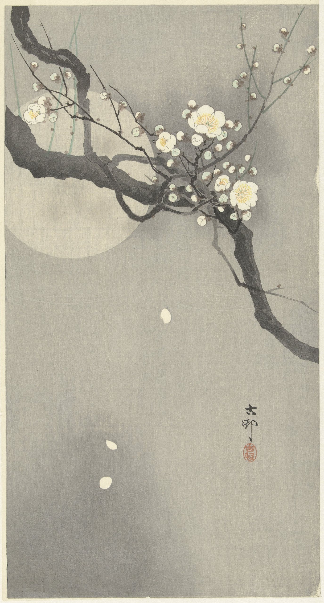《梅花满月》（Plum blossom and full moon）｜小原古邨 Ohara Koson｜1900-1936