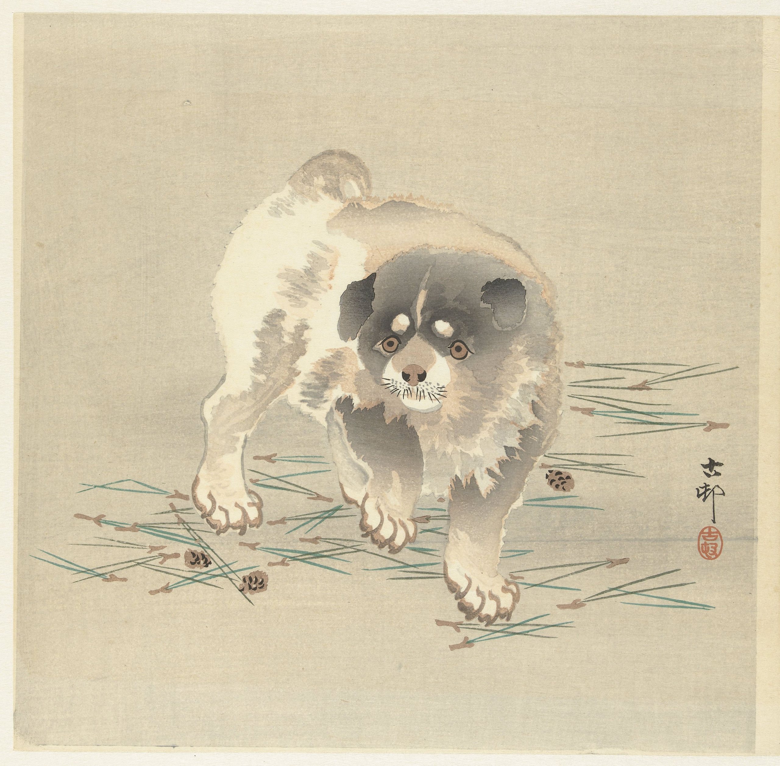 《小狗》（Puppy）｜小原古邨 Ohara Koson｜1900-1930