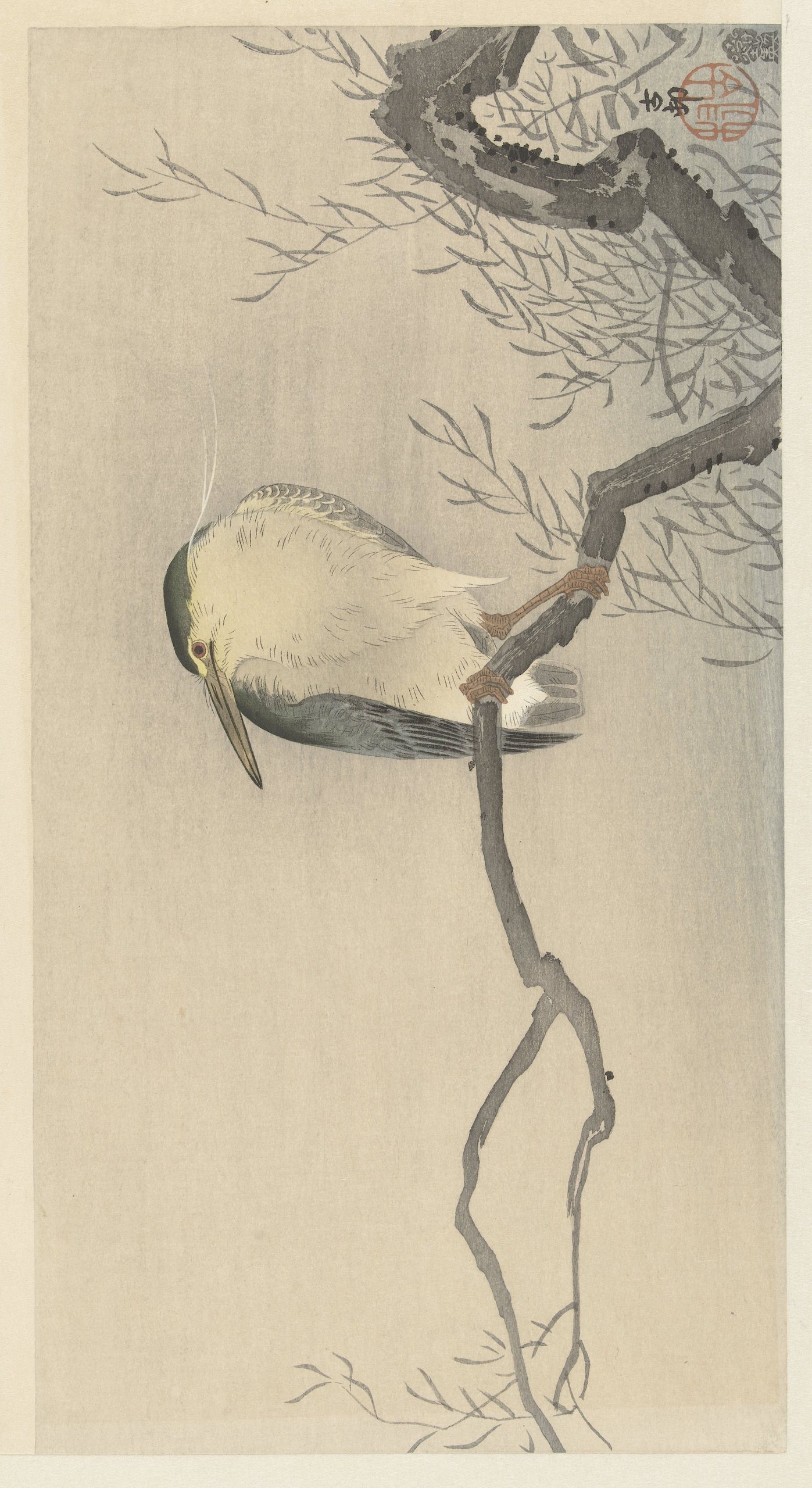 《在异想天开的树枝上嘎嘎叫》（Quack on whimsical branch）｜小原古邨 Ohara Koson｜1900-1930