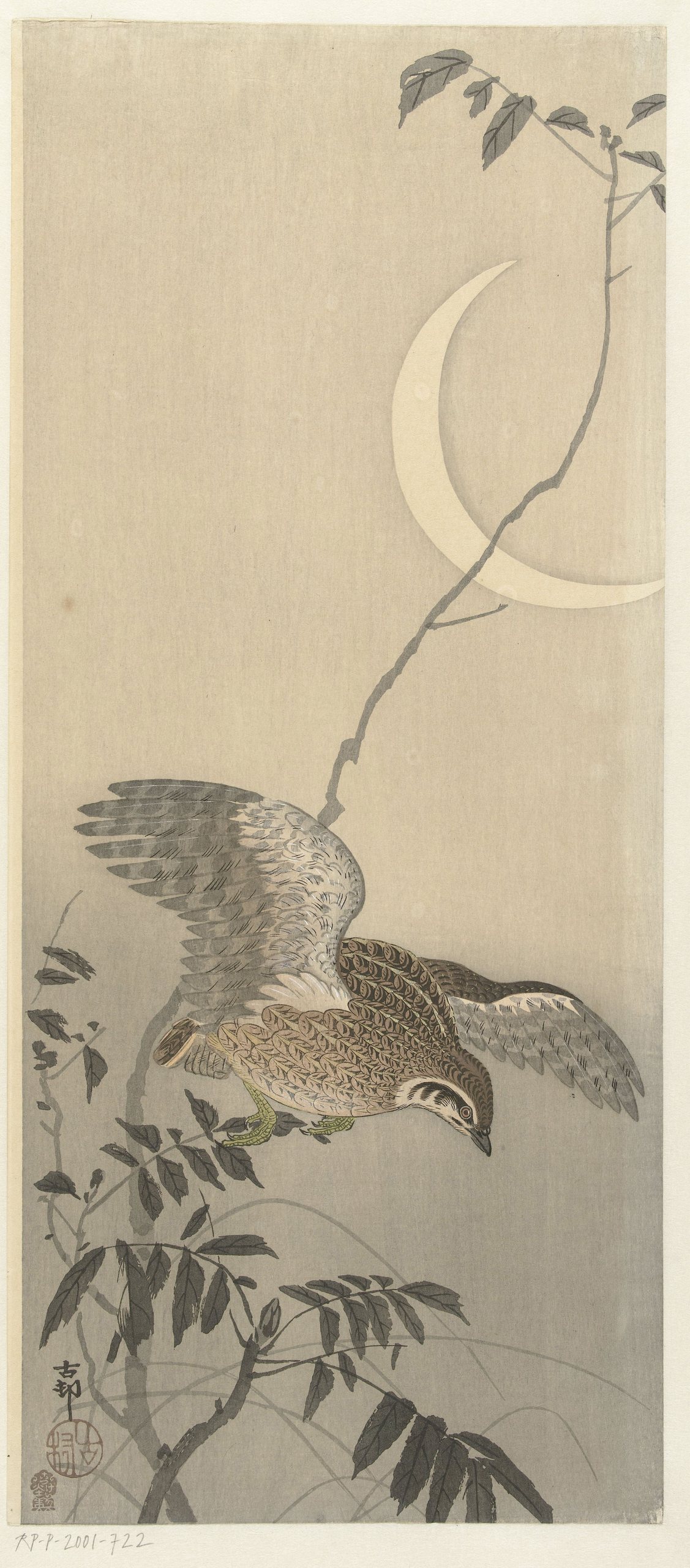 《镰月鹌鹑》（Quail at sickle moon）｜小原古邨 Ohara Koson｜1900-1930