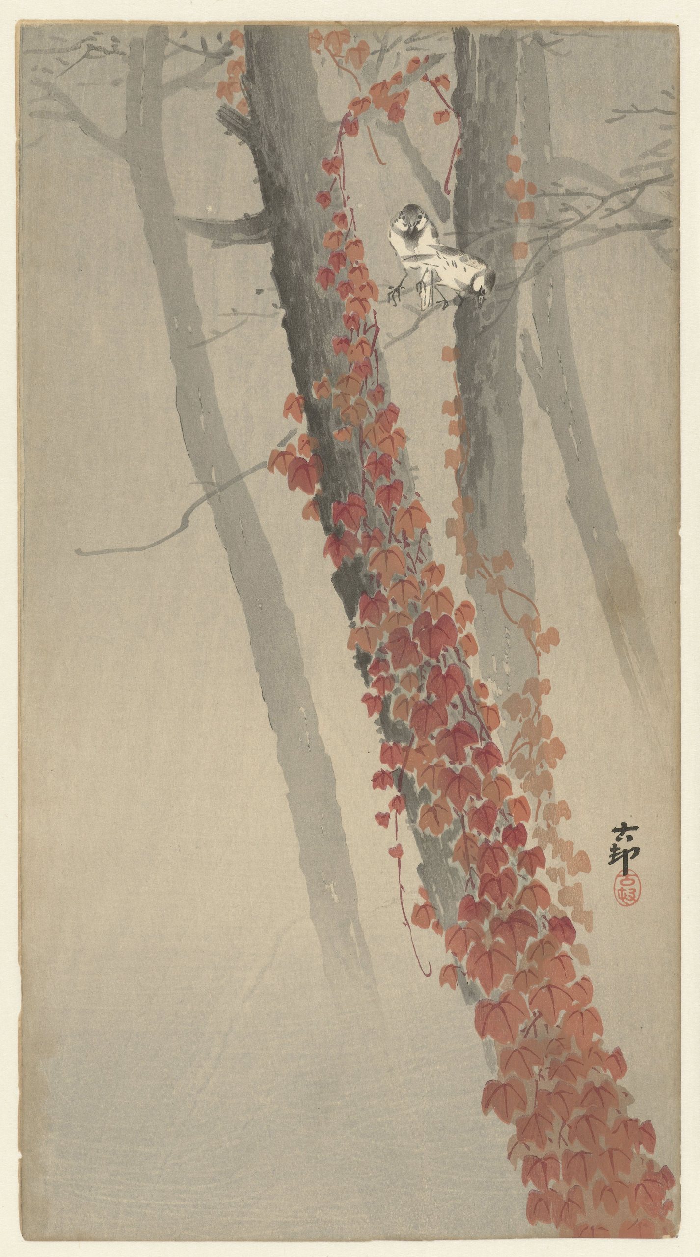 《红色常春藤》（Red ivy）｜小原古邨 Ohara Koson｜1900-1930