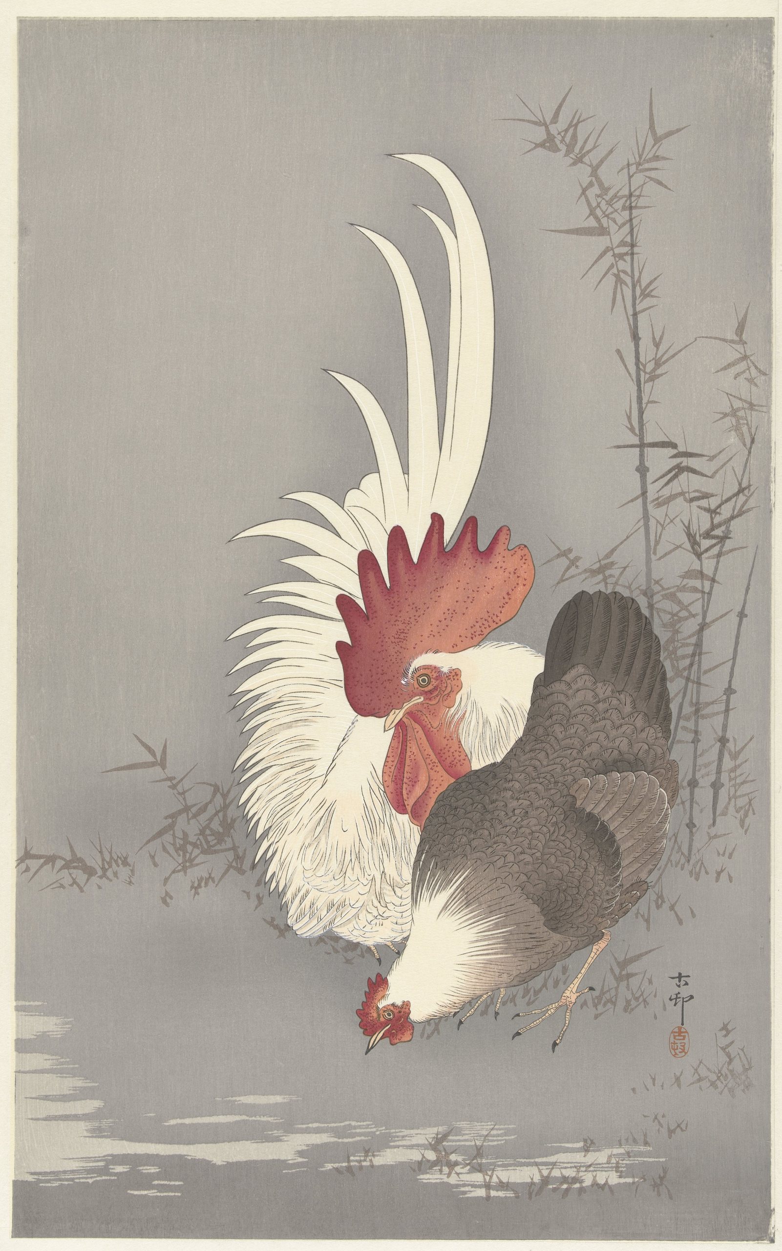 《公鸡和小鸡》（Rooster and chicken）｜小原古邨 Ohara Koson｜1900-1930