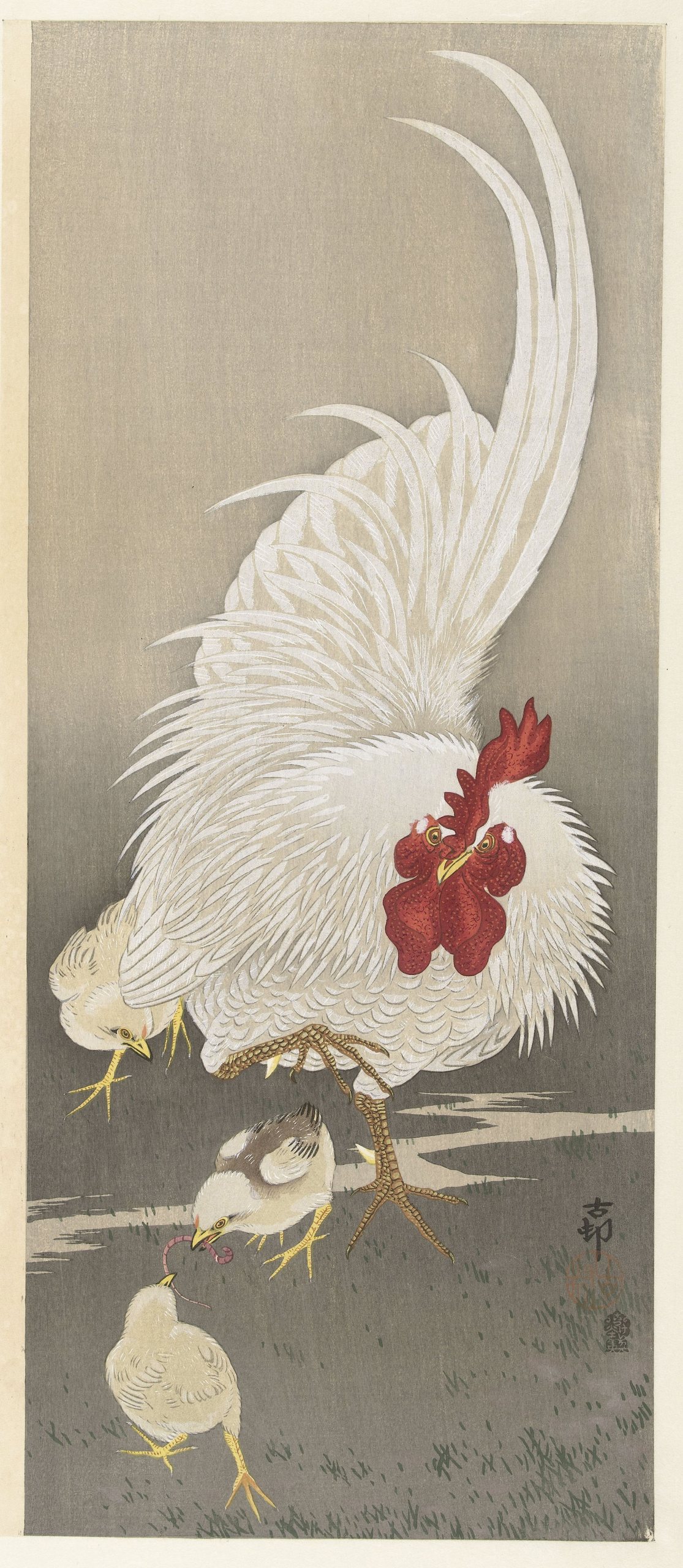 《公鸡和三只小鸡》（Rooster and three chicks）｜小原古邨 Ohara Koson｜1900-1910