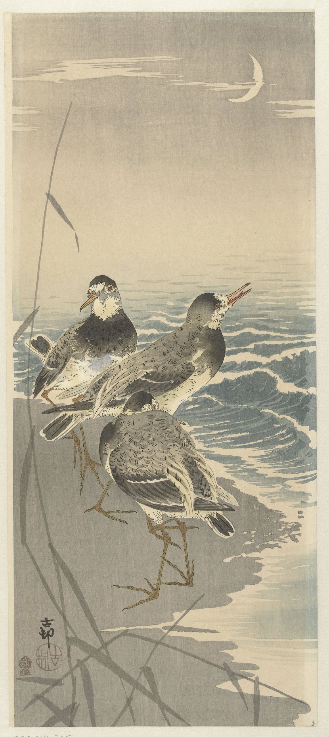 《镰月上的鹬》（Sandpipers at sickle moon）｜小原古邨 Ohara Koson｜1900-1910