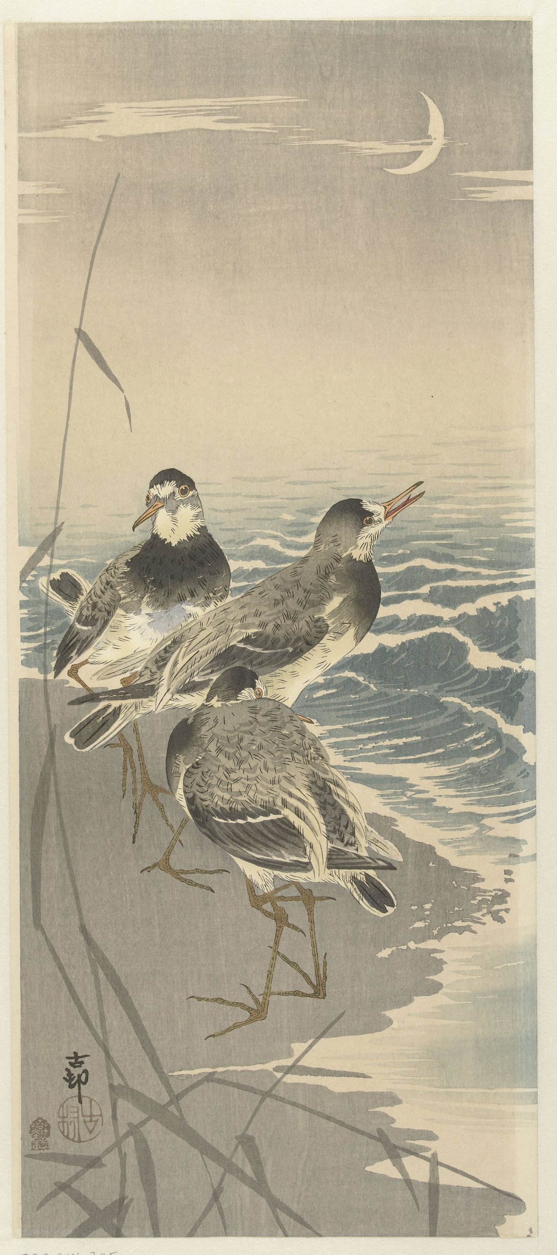 《镰月上的鹬》（Sandpipers at sickle moon）｜小原古邨 Ohara Koson｜1910-1930