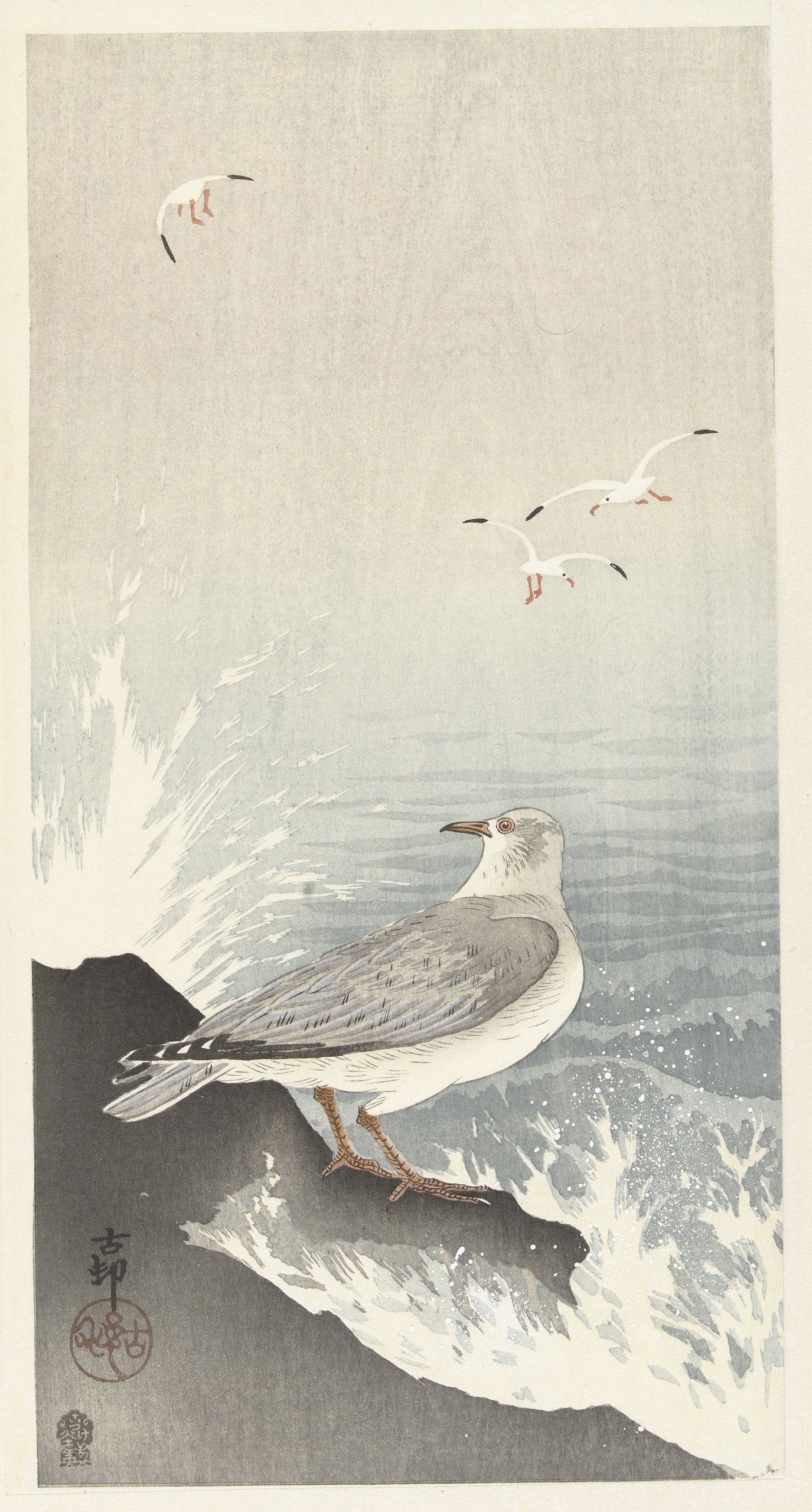 《岩石上的海鸥》（Seagull on rock）｜小原古邨 Ohara Koson｜1900-1910