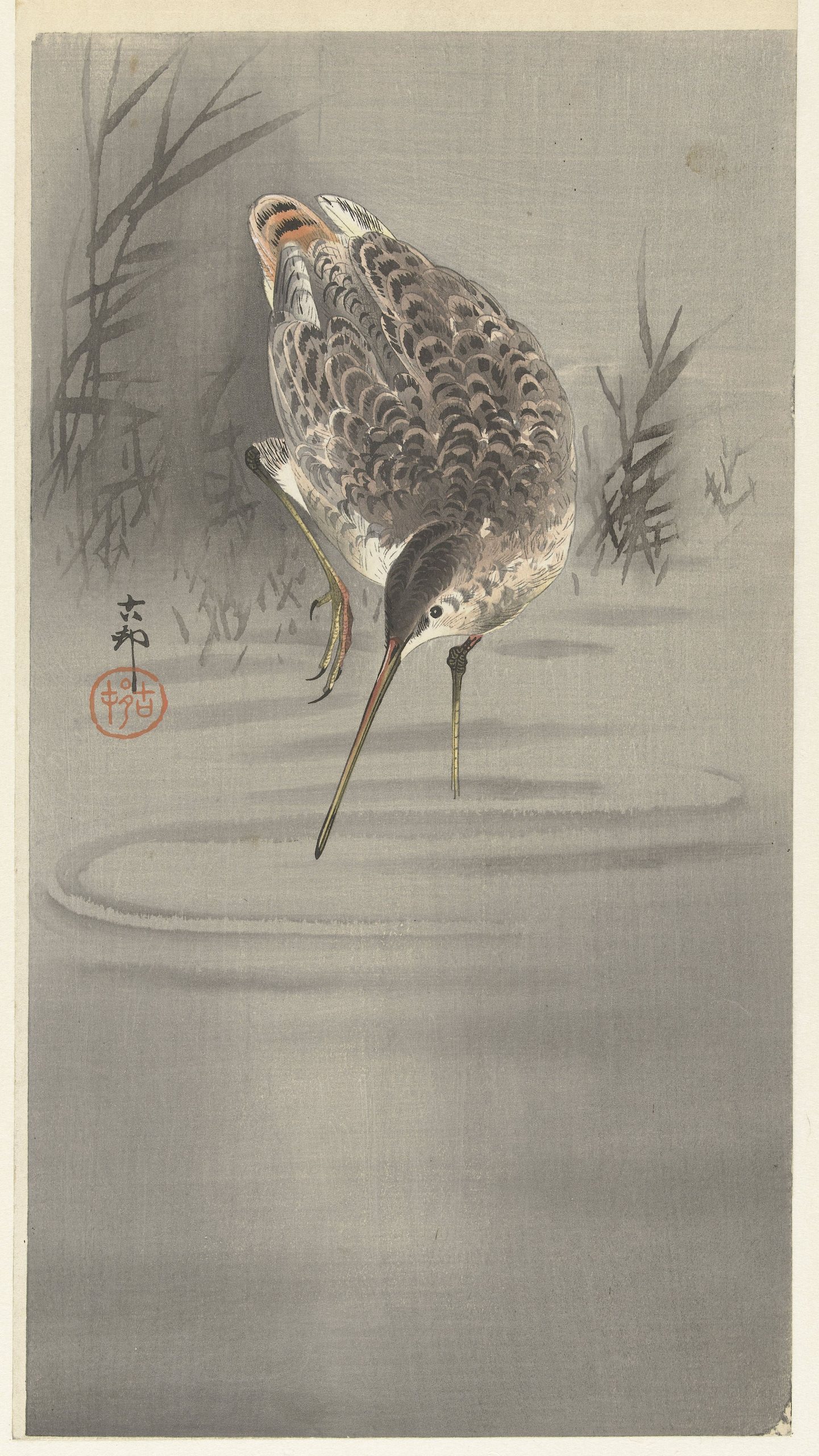 《剪断放入水中》（Snip in water）｜小原古邨 Ohara Koson｜1900-1930