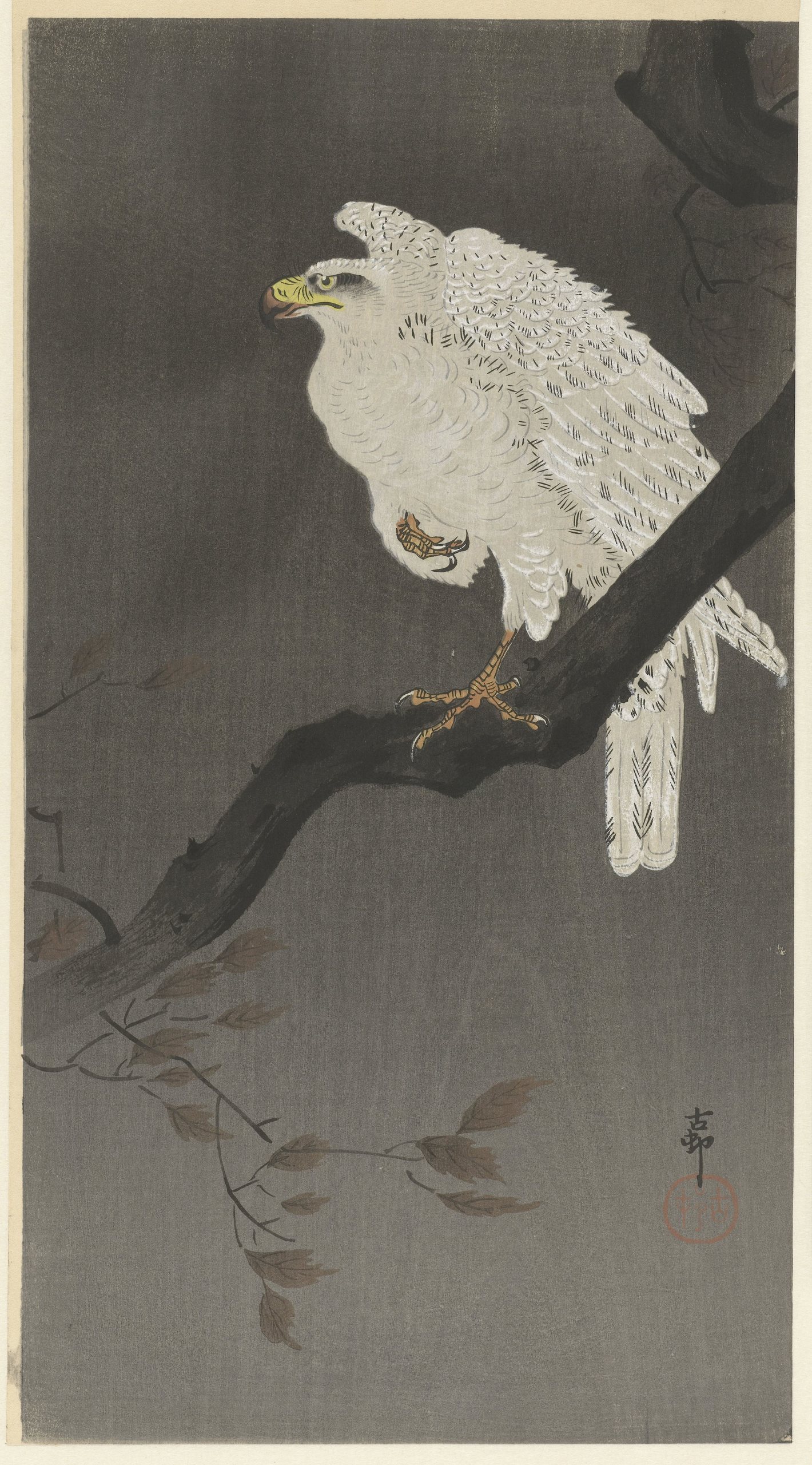 《树枝上的雪鹰》（Snowy eagle on a tree branch）｜小原古邨 Ohara Koson｜1910-1930